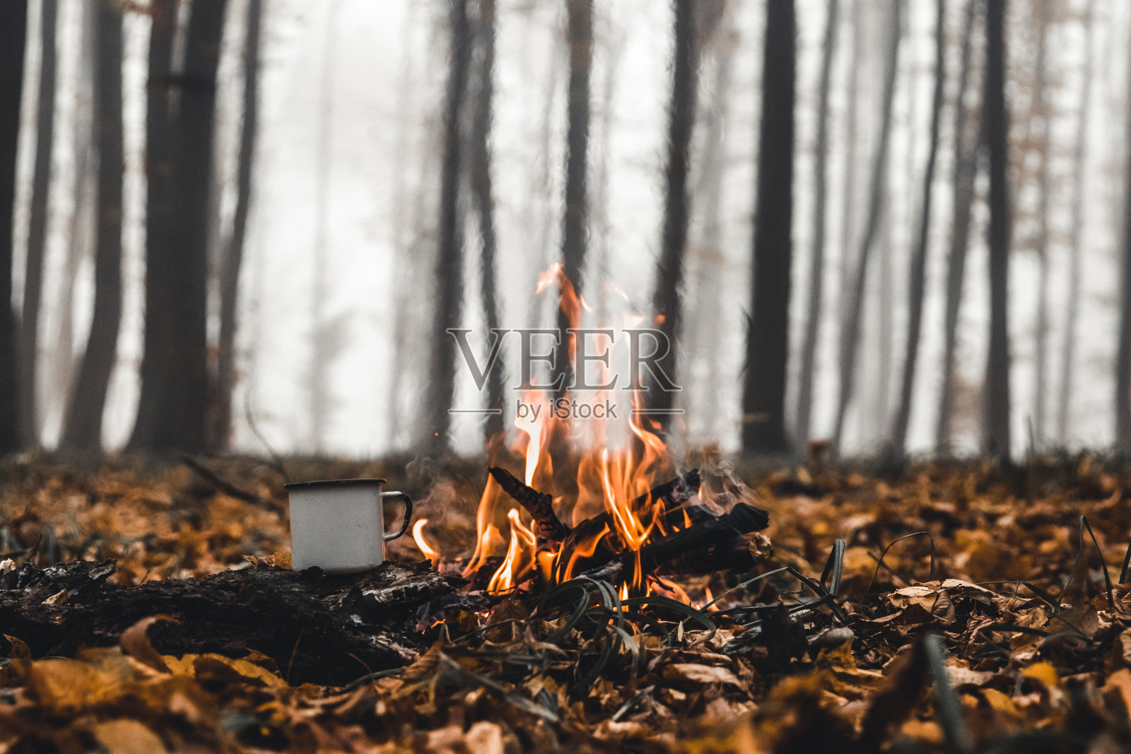 晚上在森林里放篝火照片摄影图片