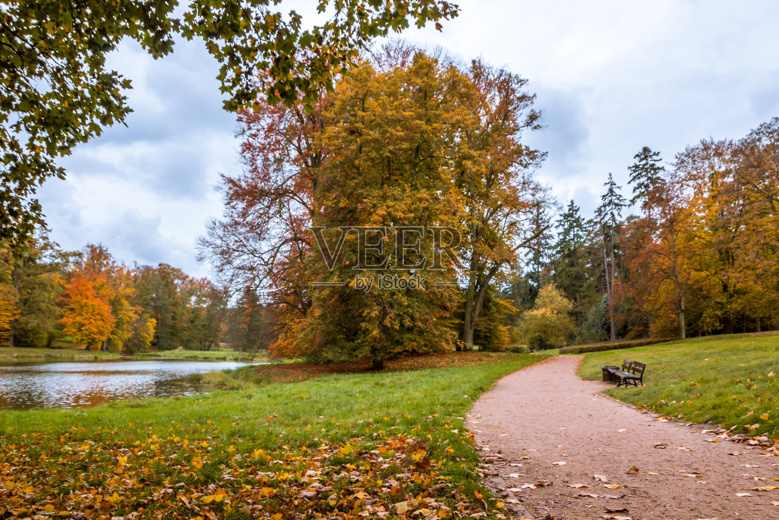 秋天的色彩在公园里照片摄影图片