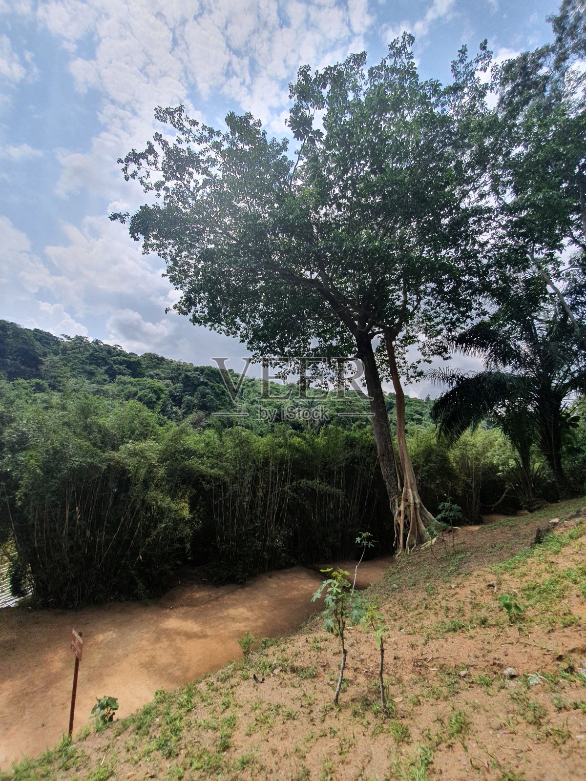 金沙萨的环境照片摄影图片