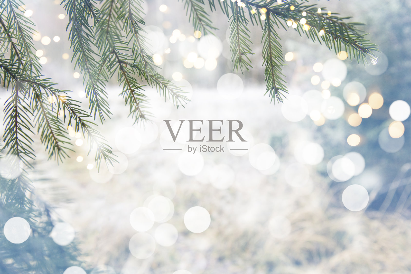 摘要冬季圣诞节的背景有雪、冷杉树枝和彩灯。美丽的柔和大气的自然背景在柔和的浅色。圣诞与温柔的散谷照片摄影图片