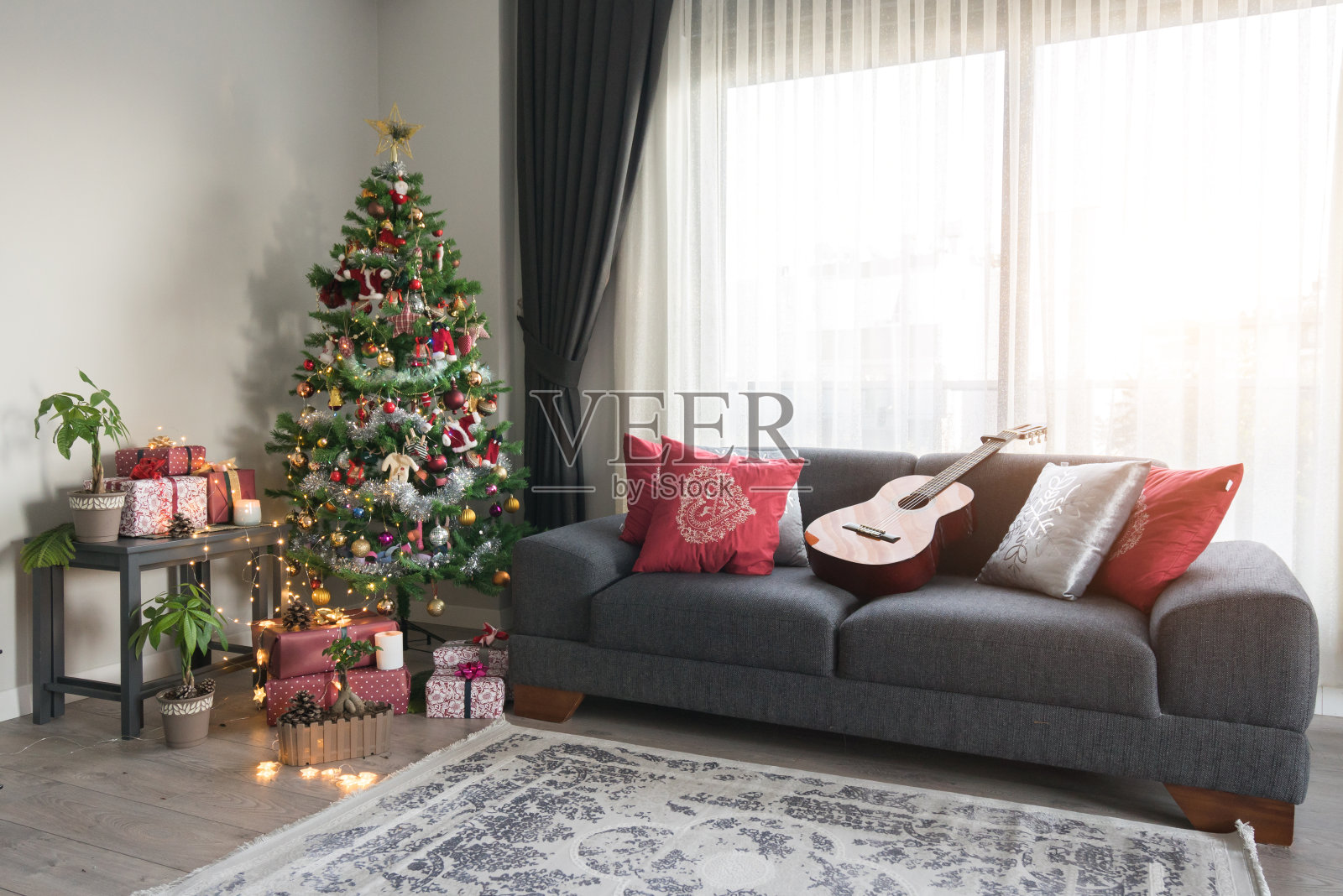 客厅和圣诞树照片摄影图片