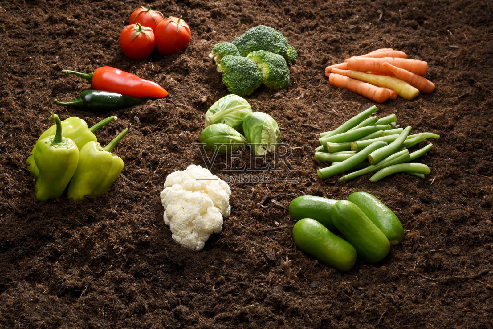 有机蔬菜群，土壤背景，有机种植，胡萝卜，樱桃番茄，辣椒，黄瓜，西兰花，抱子甘蓝，花椰菜，青豆，青椒照片摄影图片