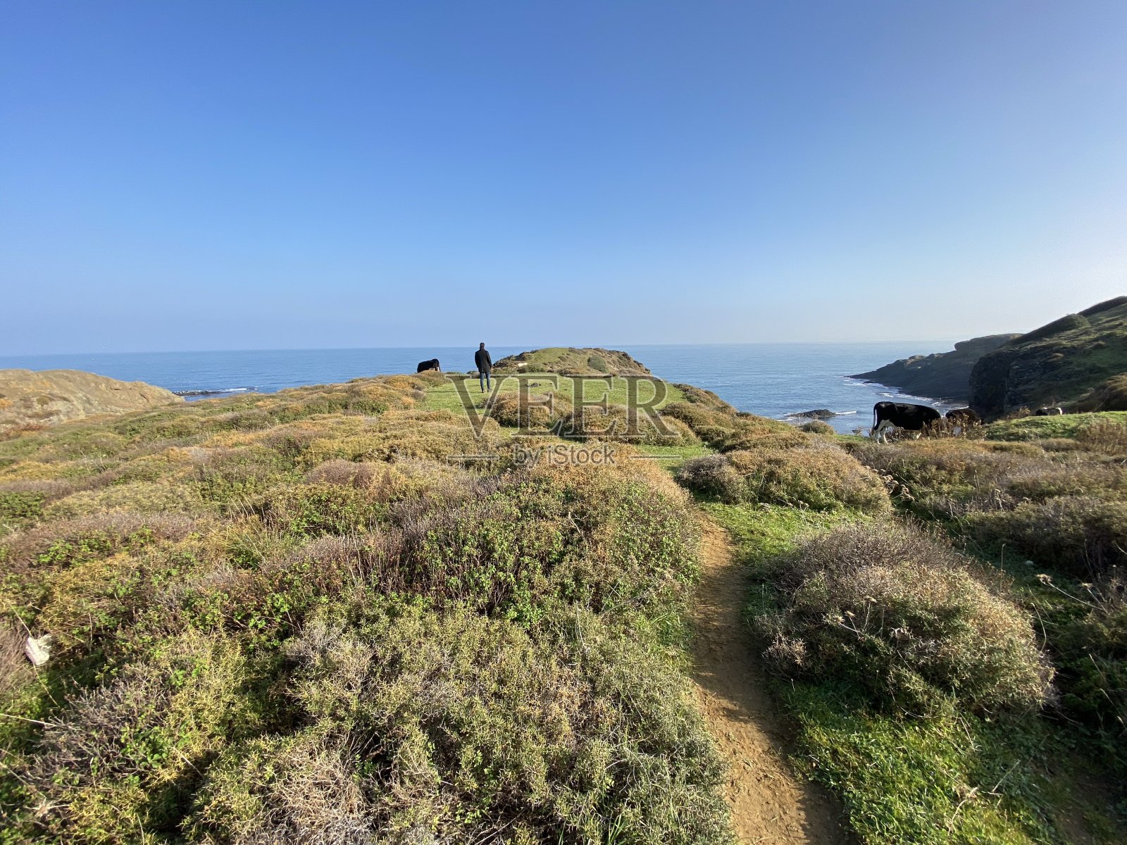 大海，自然，海滩，蓝色，土耳其，伊斯坦布尔照片摄影图片