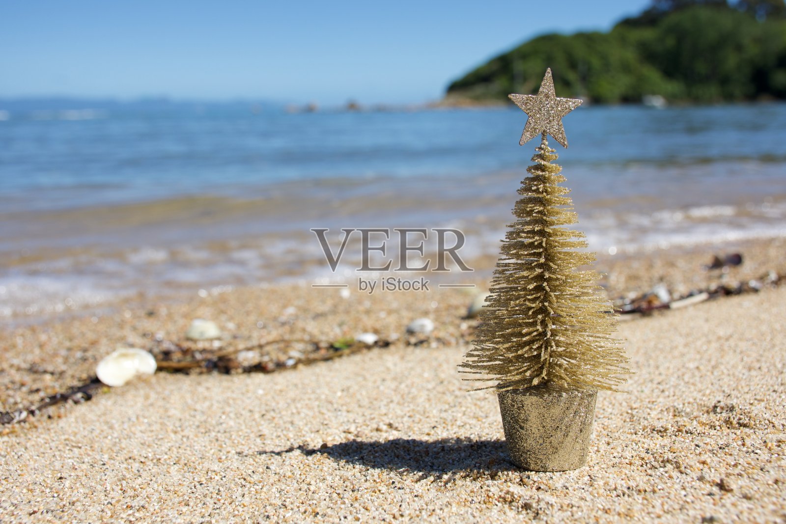 夏天的圣诞背景照片摄影图片