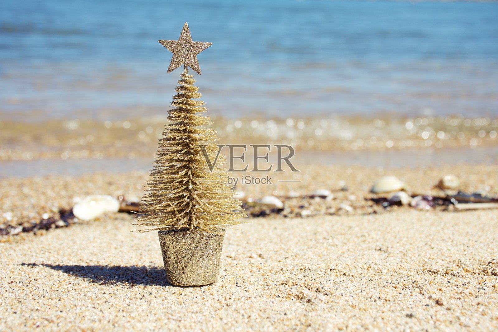 夏天的圣诞背景照片摄影图片