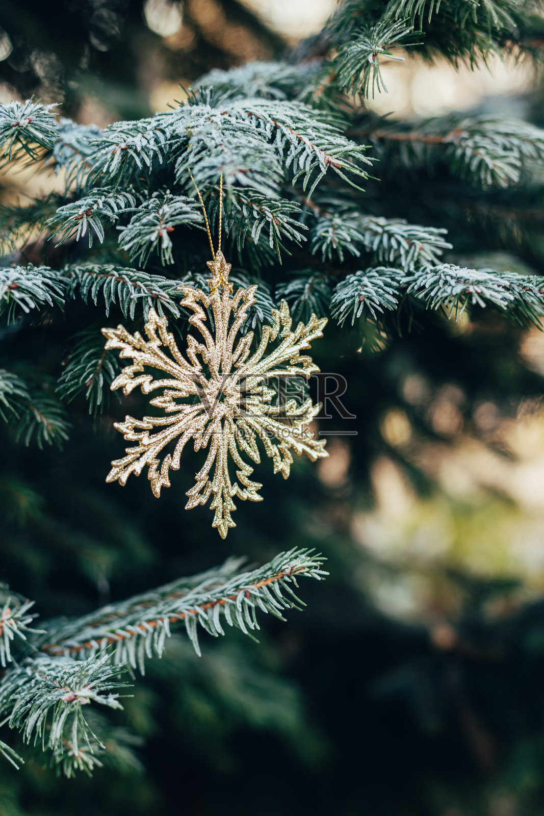 云杉上结霜的金色雪花。圣诞节墙纸或明信片的概念。照片摄影图片