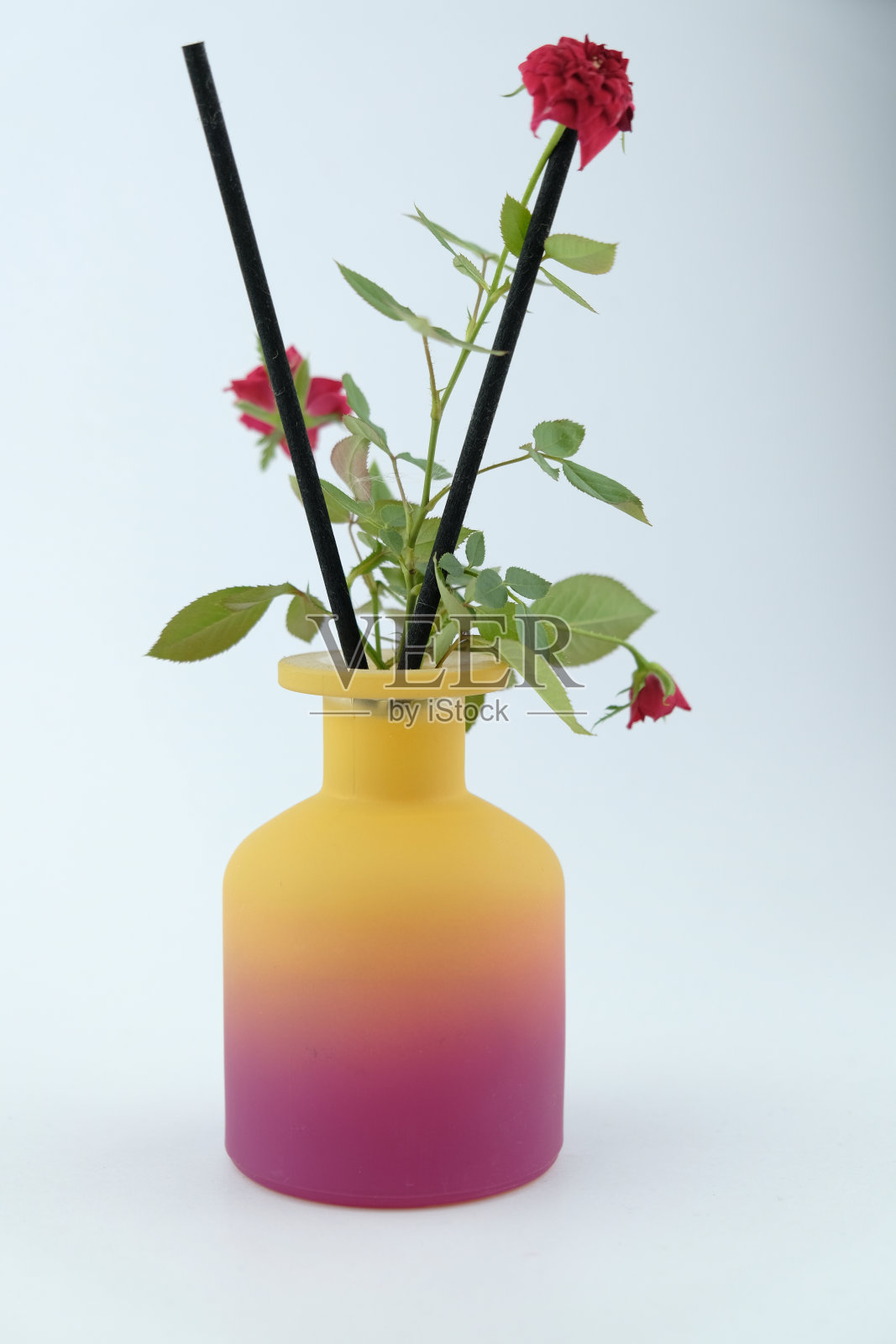 花瓶里有一朵红花照片摄影图片