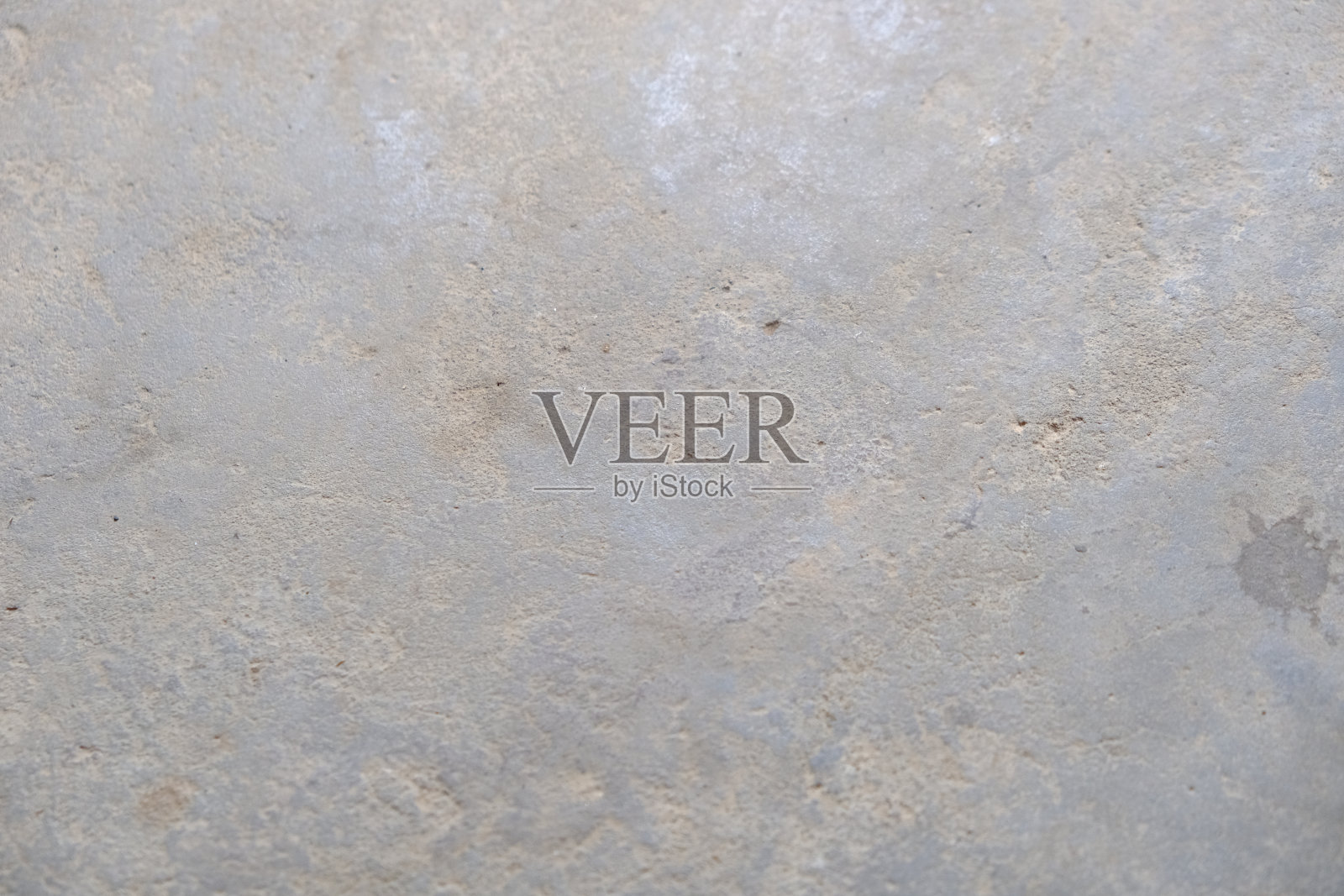 自然森林的图片照片摄影图片