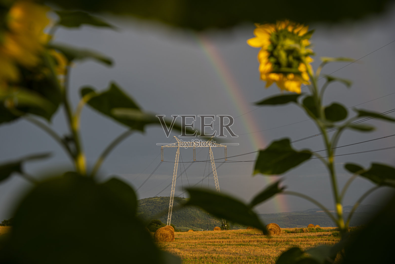 神奇的彩虹照片摄影图片