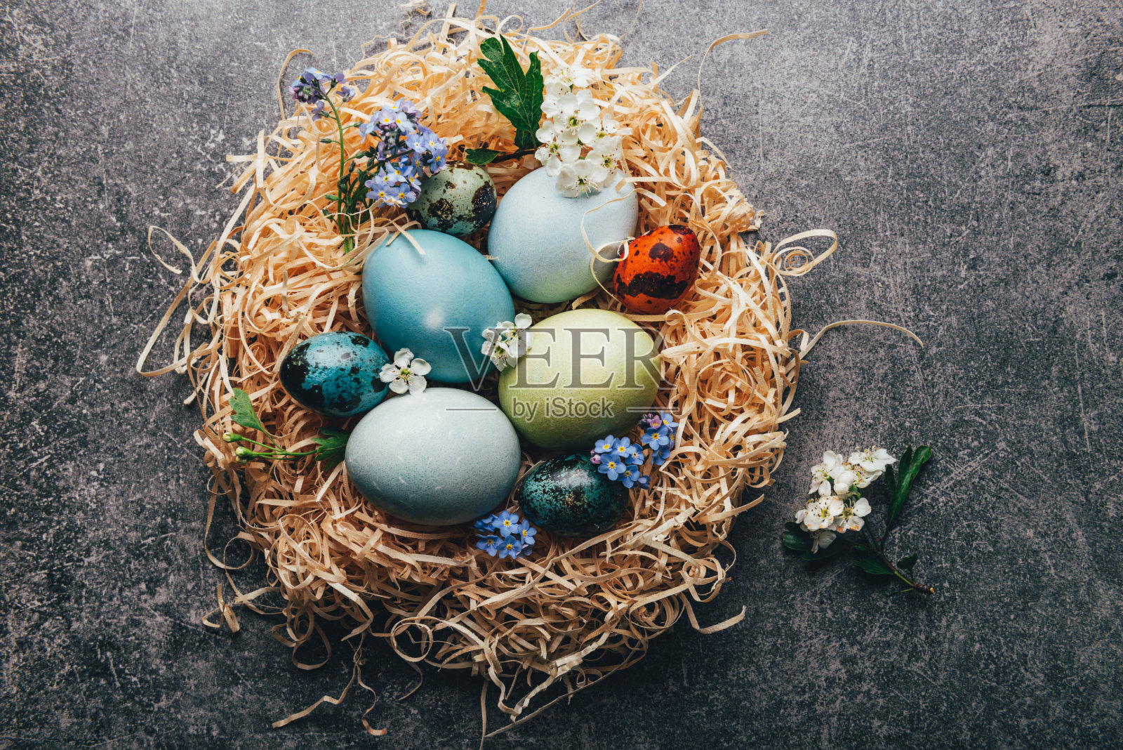 自制天然染色鸡蛋。照片摄影图片