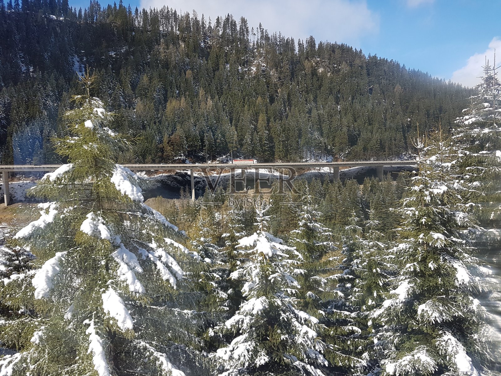 下雪的森林照片摄影图片