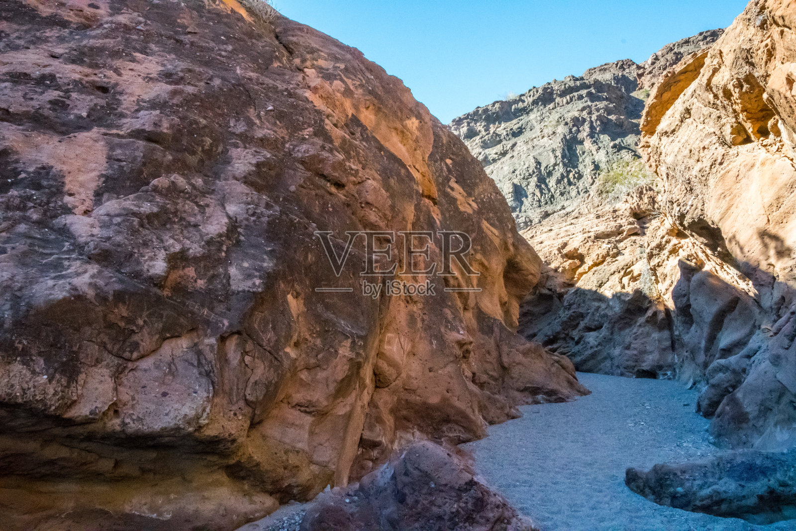 亚利桑那州哈瓦苏湖的自然景观照片摄影图片