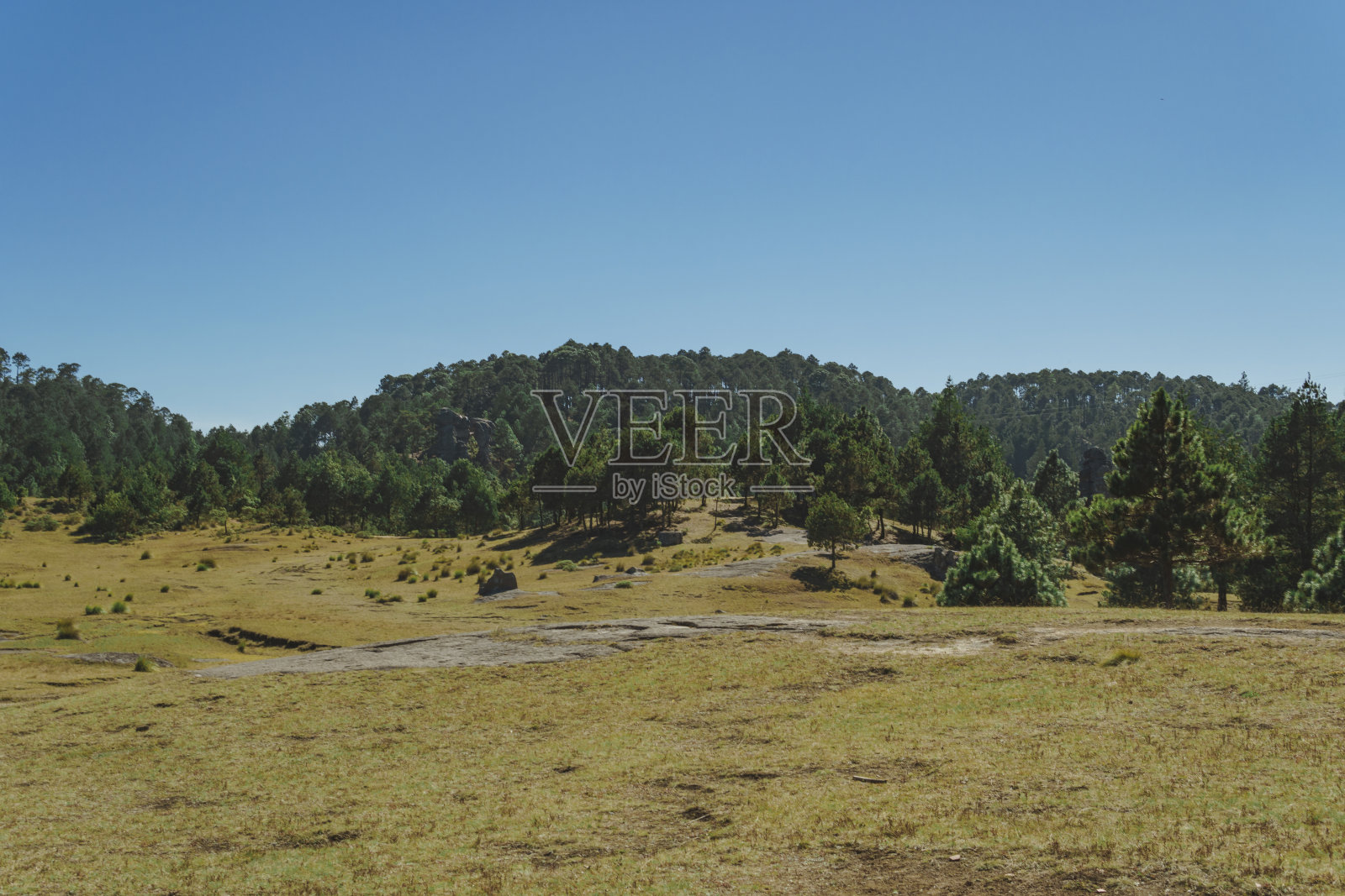 墨西哥普埃布拉的自然公园“石顶”照片摄影图片