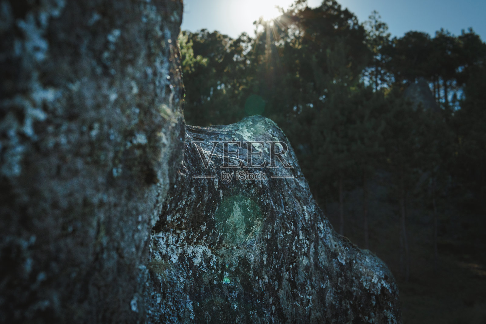 墨西哥普埃布拉的自然公园“石顶”照片摄影图片