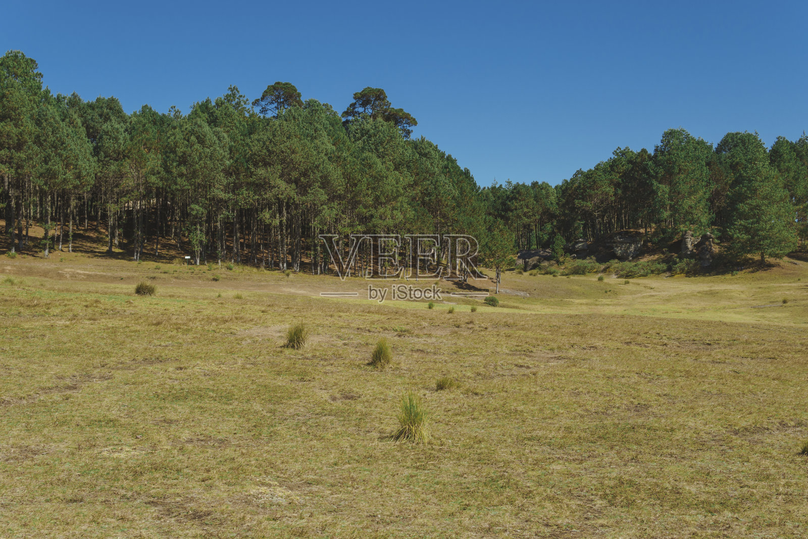 墨西哥普埃布拉的自然公园“石顶”照片摄影图片