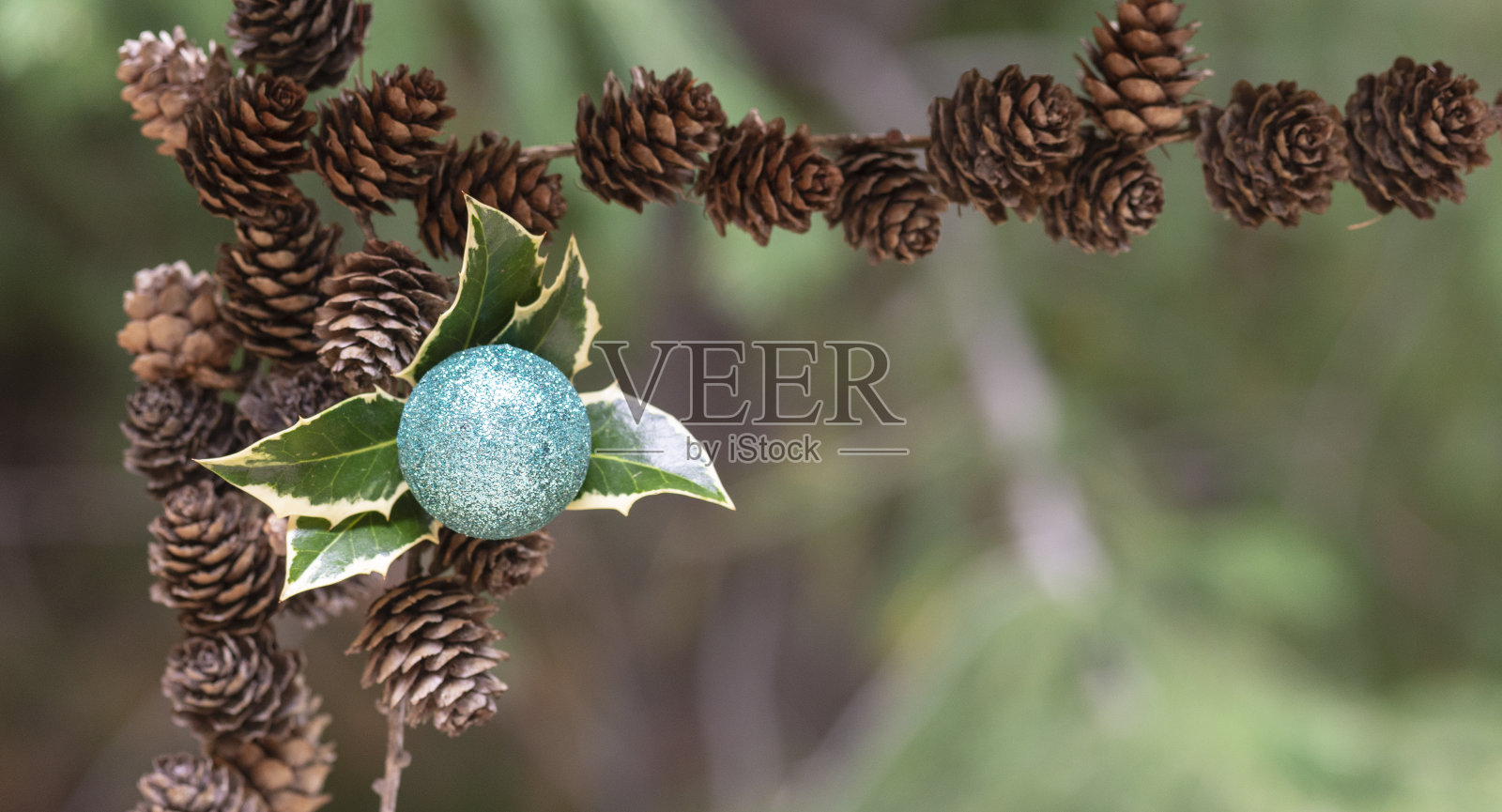 圣诞卡和新年贺卡。照片摄影图片