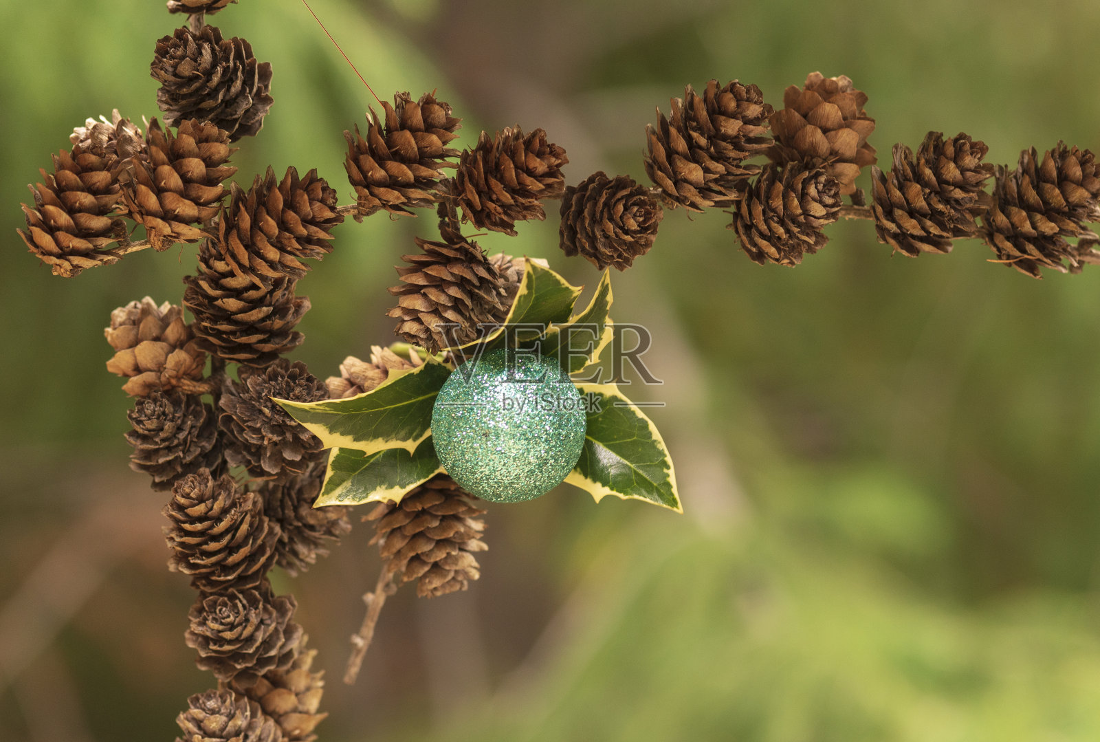 圣诞卡和新年贺卡。照片摄影图片