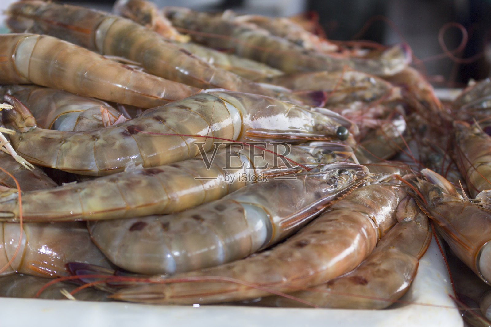 一些冰镇的生虾。海鲜食物成分。在鱼贩中发现的带壳虾。照片摄影图片