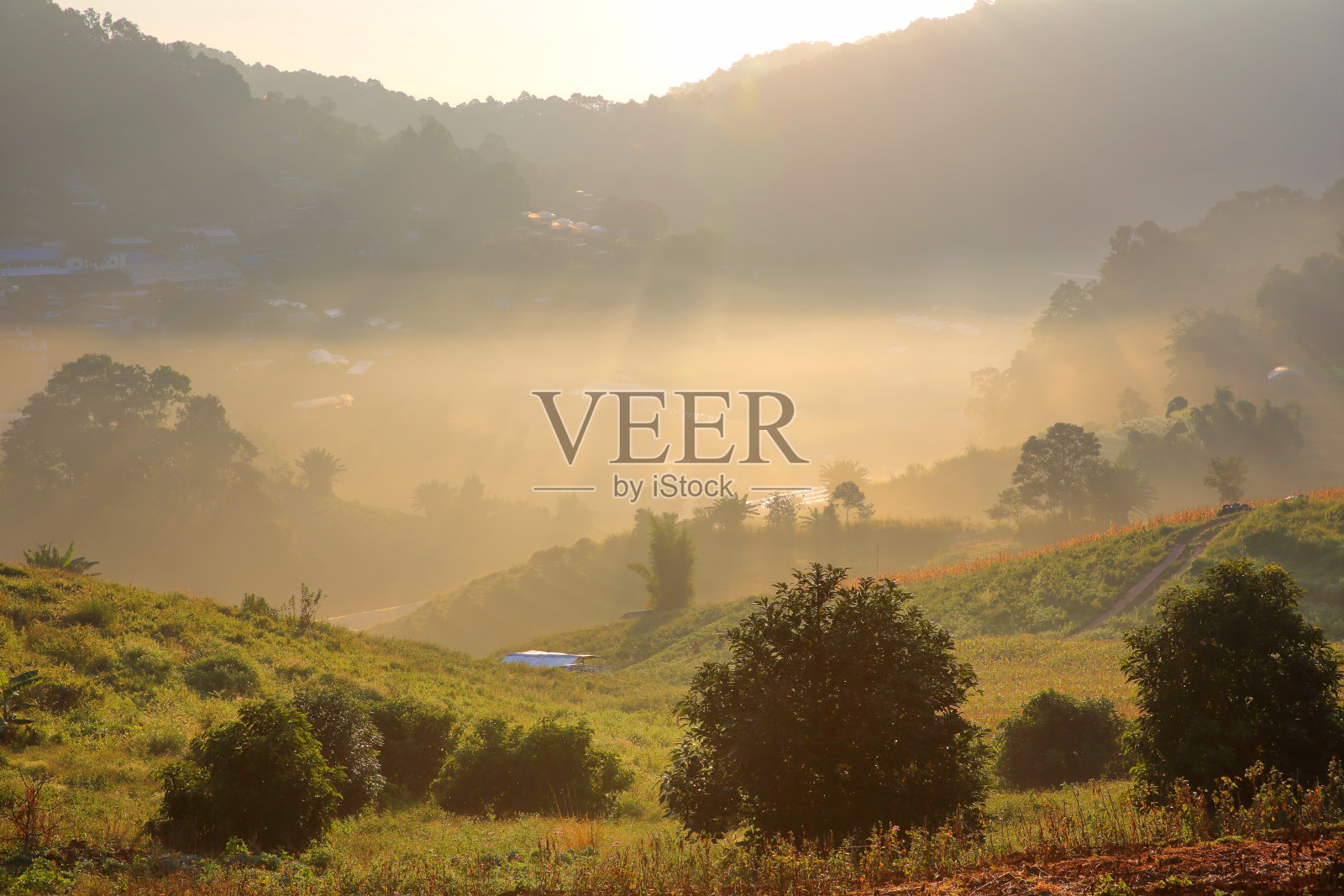 清迈美林的Doi上的晨雾照片摄影图片