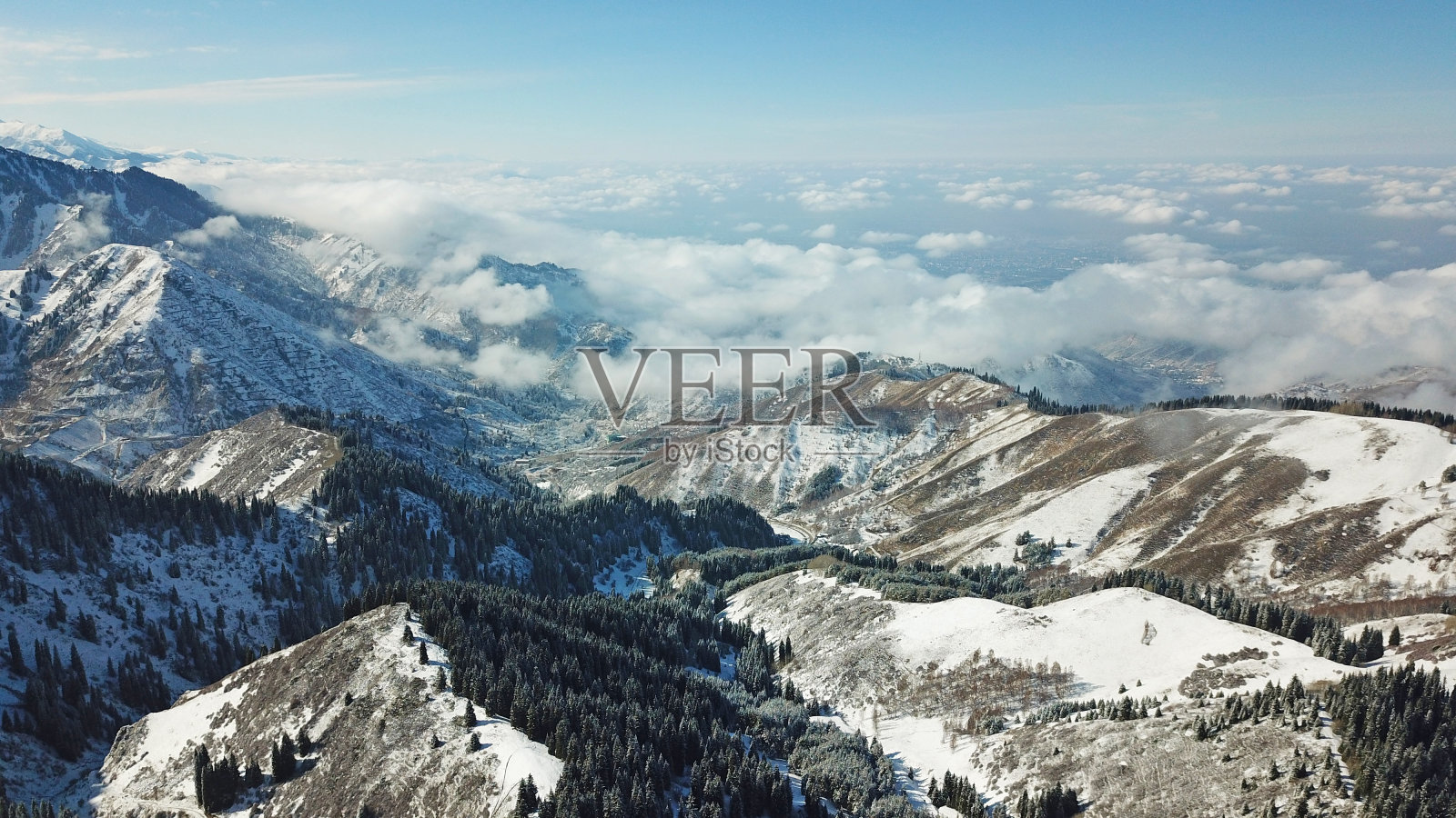 雪林在山上，云朵在上面照片摄影图片