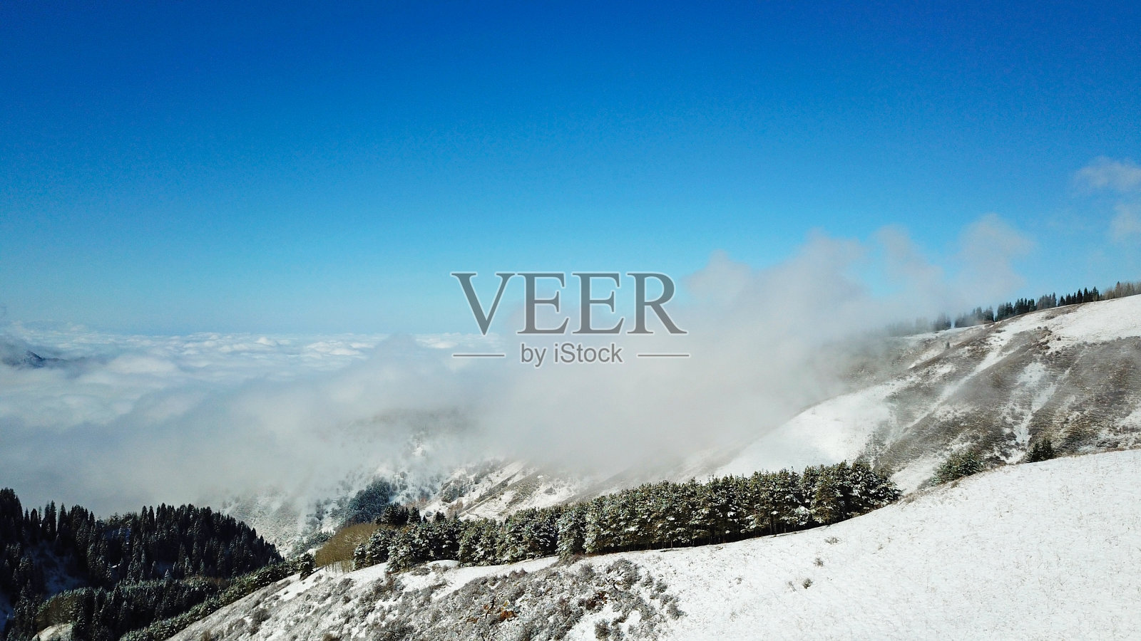 雪林在山上，云朵在上面照片摄影图片