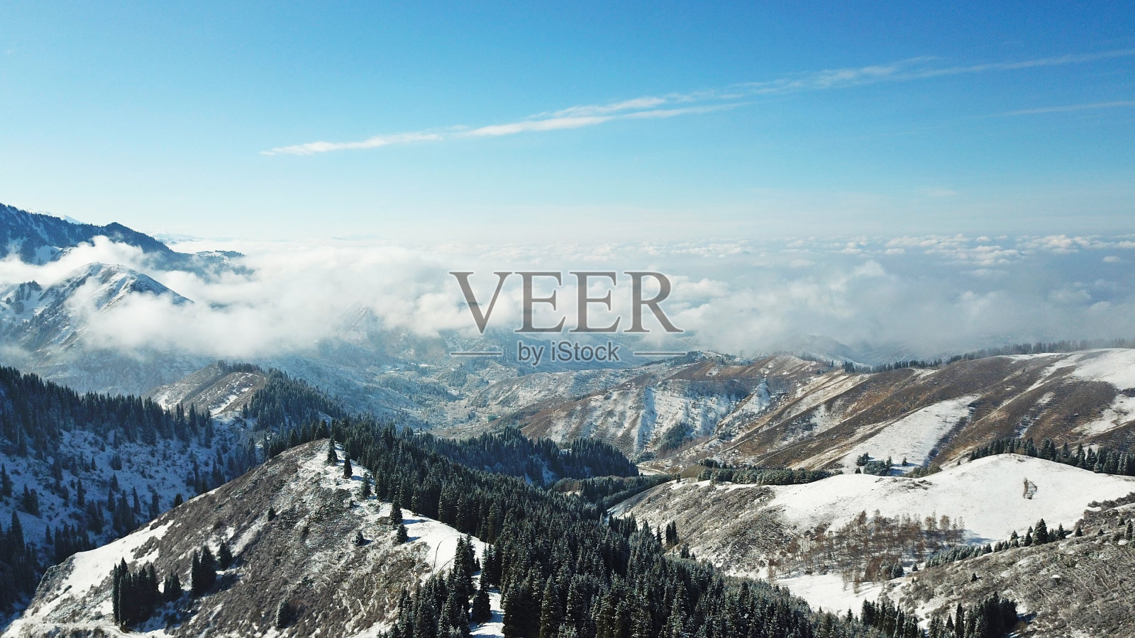 雪林在山上，云朵在上面照片摄影图片