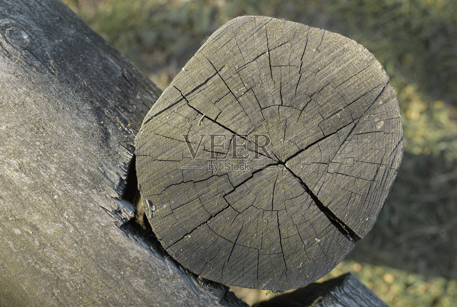 普通木材的纹理照片摄影图片
