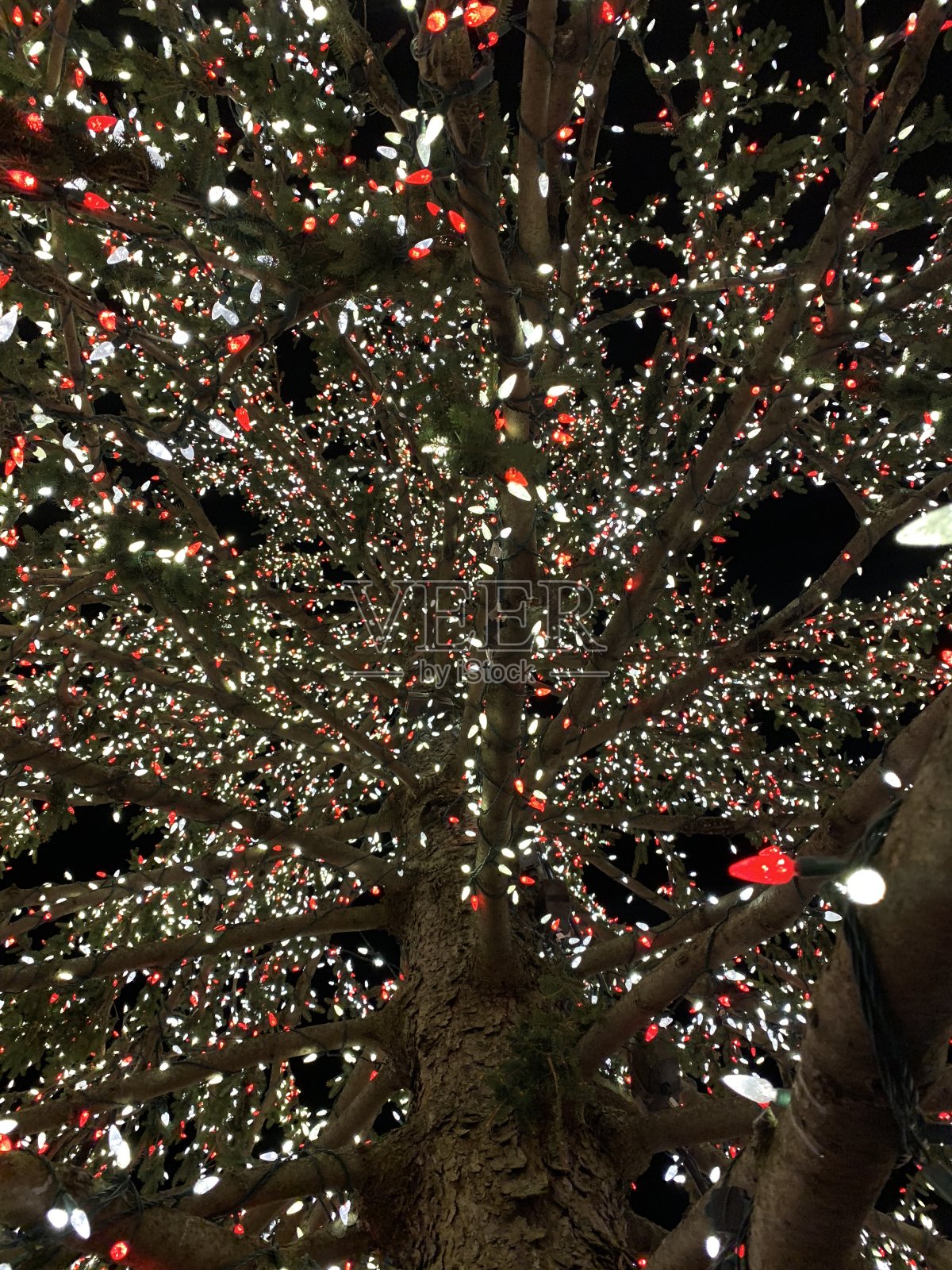 查找照片摄影图片