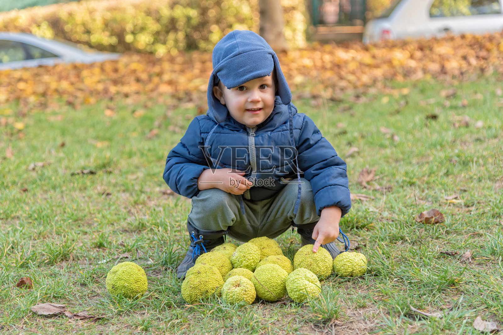 一个男孩在森林里的肖像和一个美丽的散焦。快乐的小男孩戴着帽子，穿着冬季夹克，在秋日摆姿势。手里拿着面包果的男孩。照片摄影图片