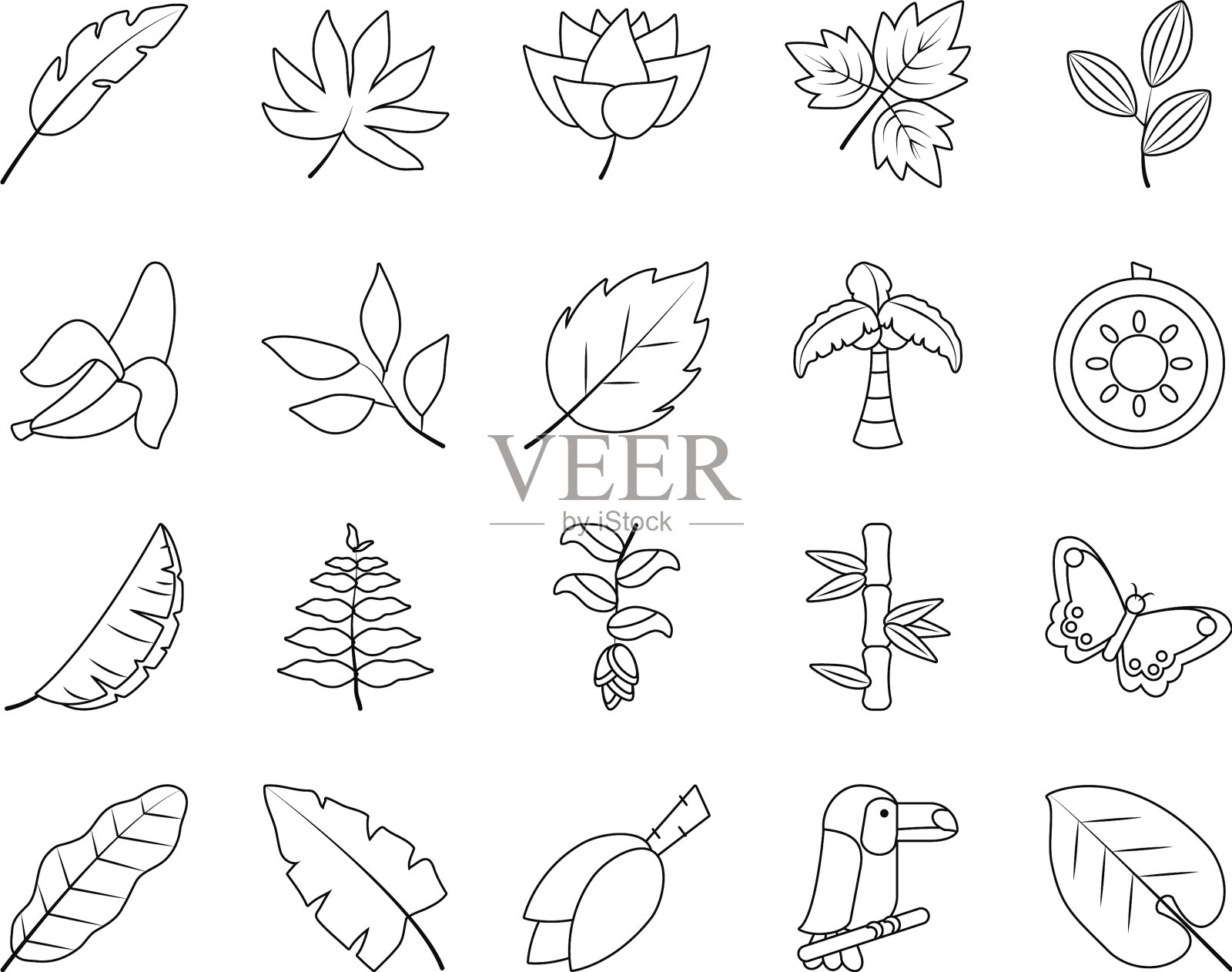 热带树叶和水果图标设置线条风格图标素材