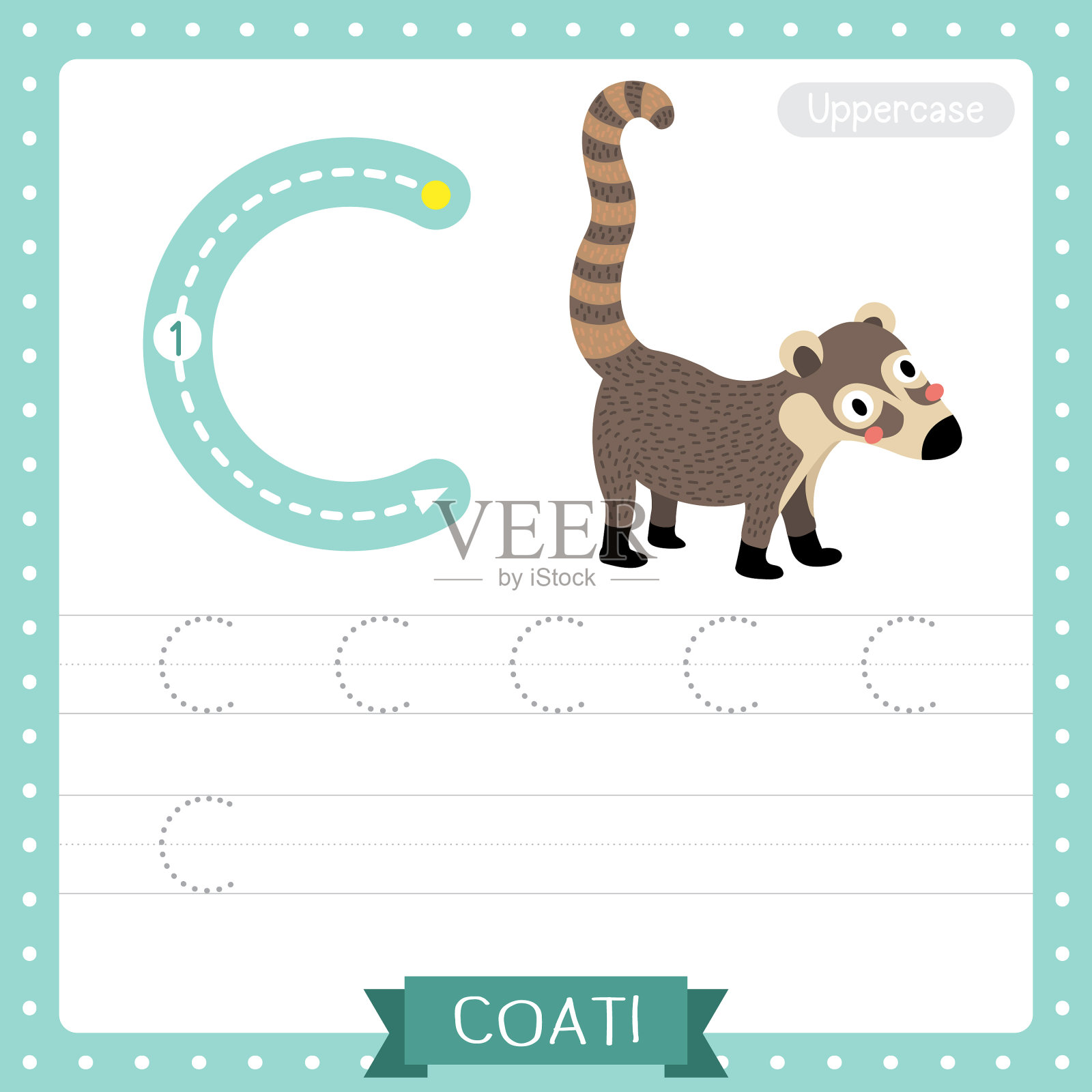 大写字母c追踪练习练习表插画图片素材