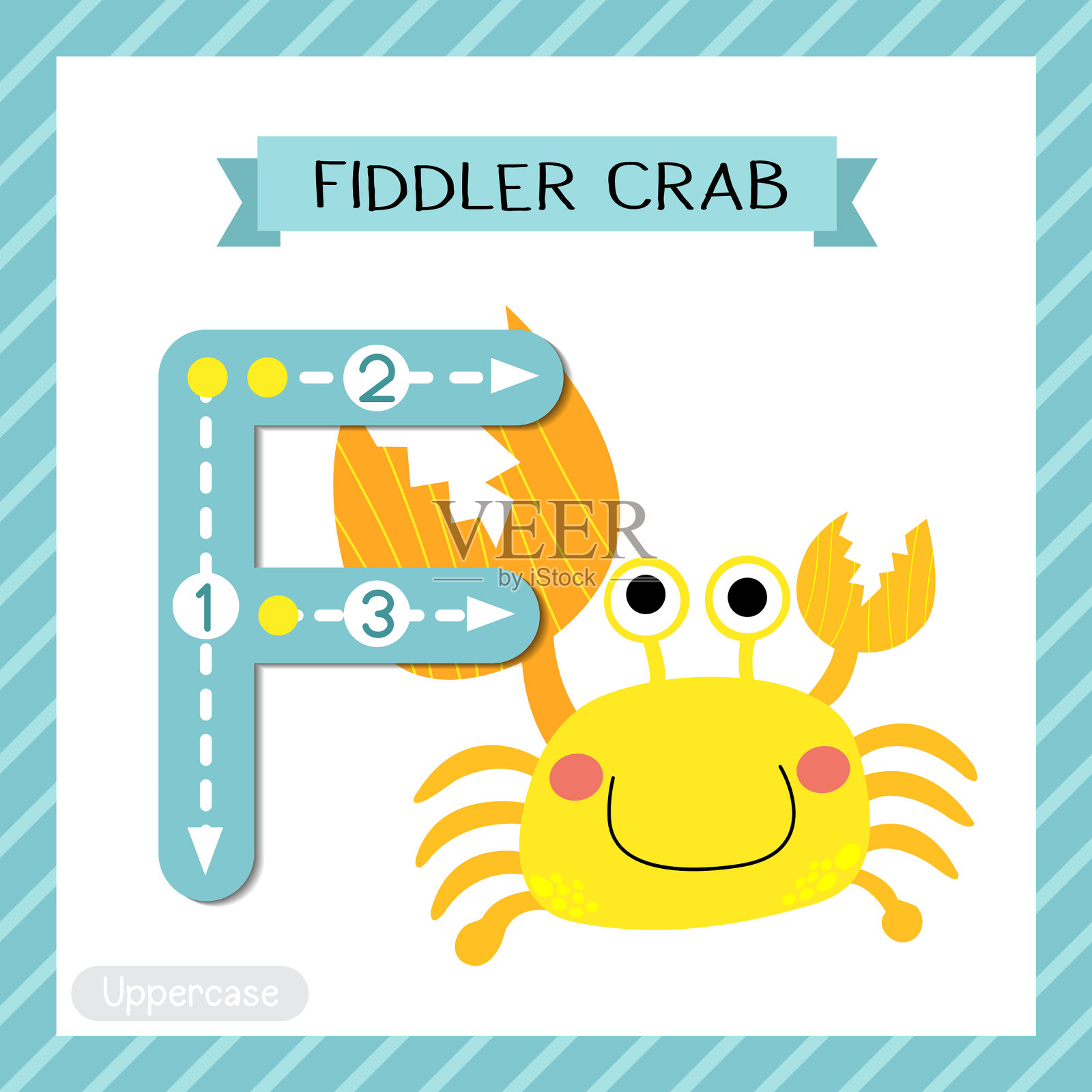 大写字母f追踪招潮蟹插画图片素材