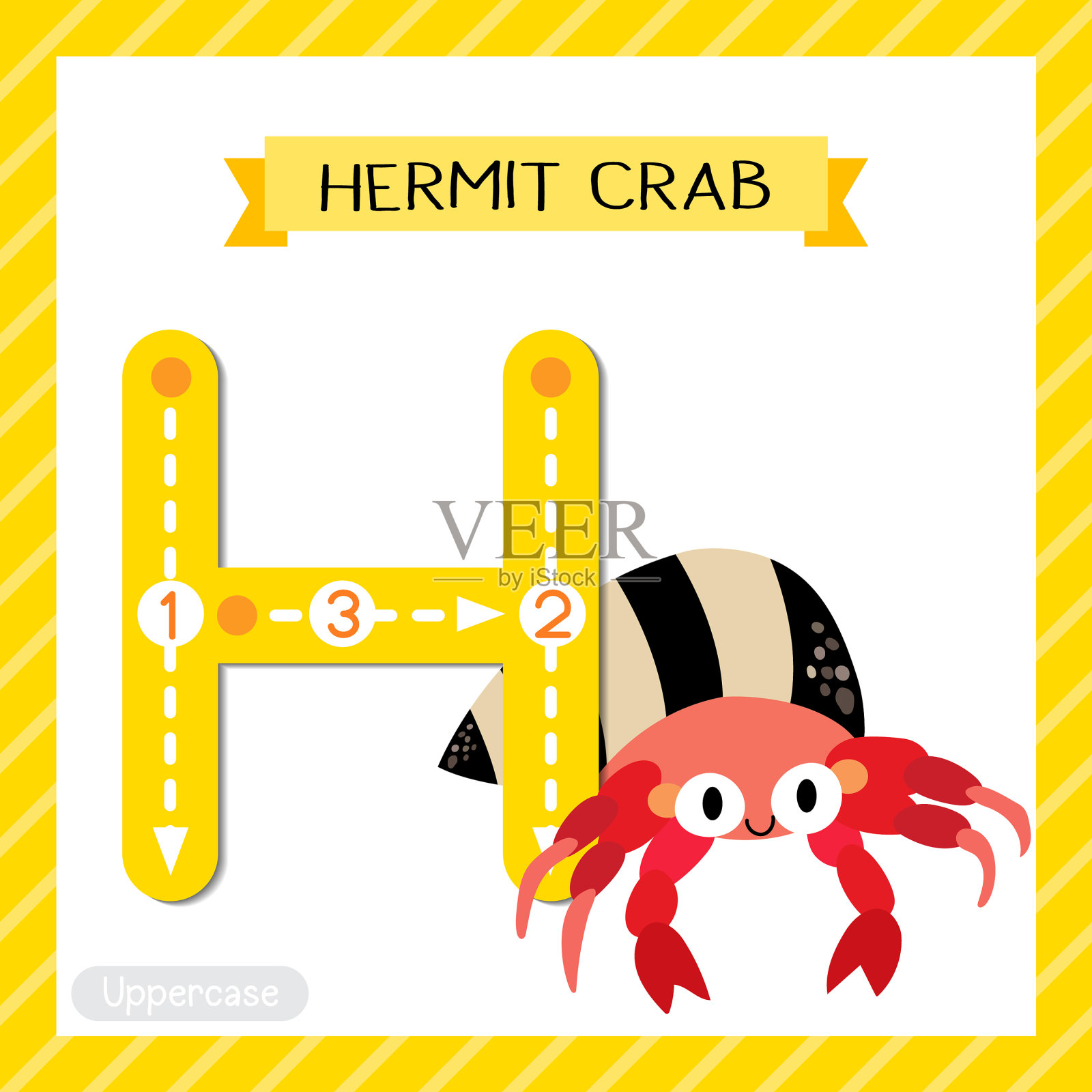 大写字母追踪寄居蟹插画图片素材