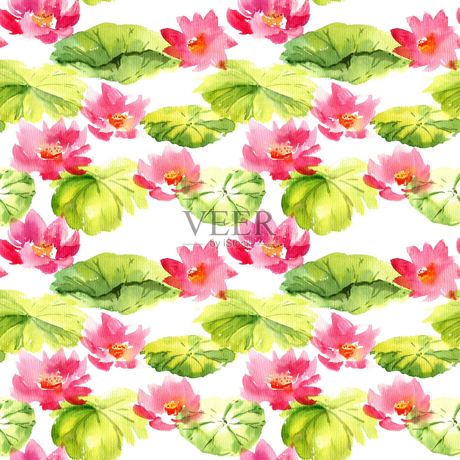 水彩睡莲荷花插画图片素材