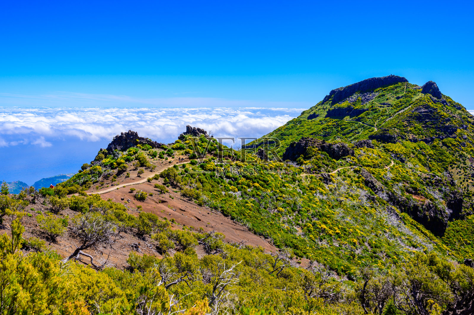 阿查达多特谢拉-风景从Pico Ruivo -徒步旅行在马德拉岛，葡萄牙照片摄影图片