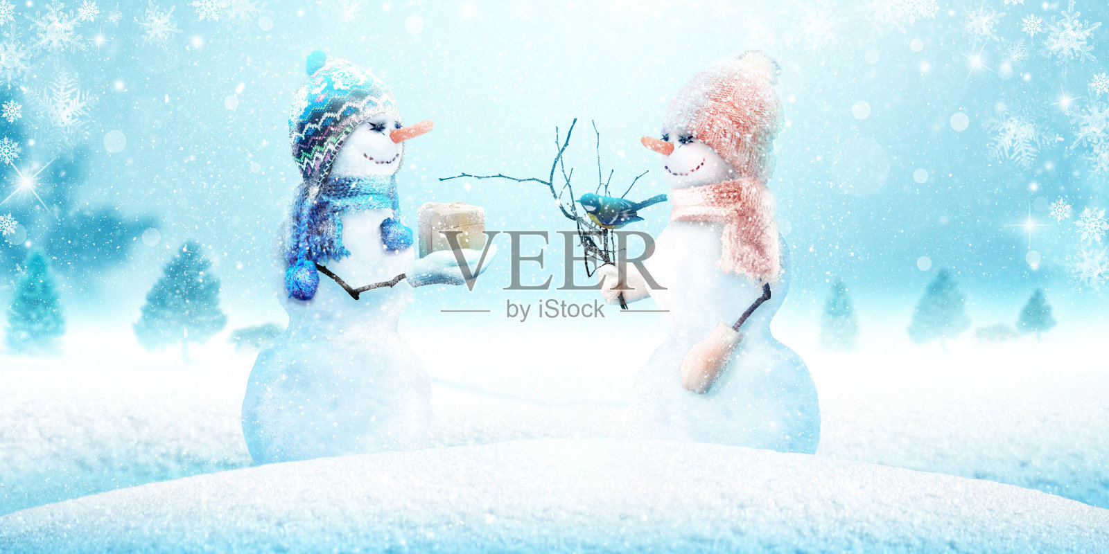 圣诞新年贺卡照片摄影图片