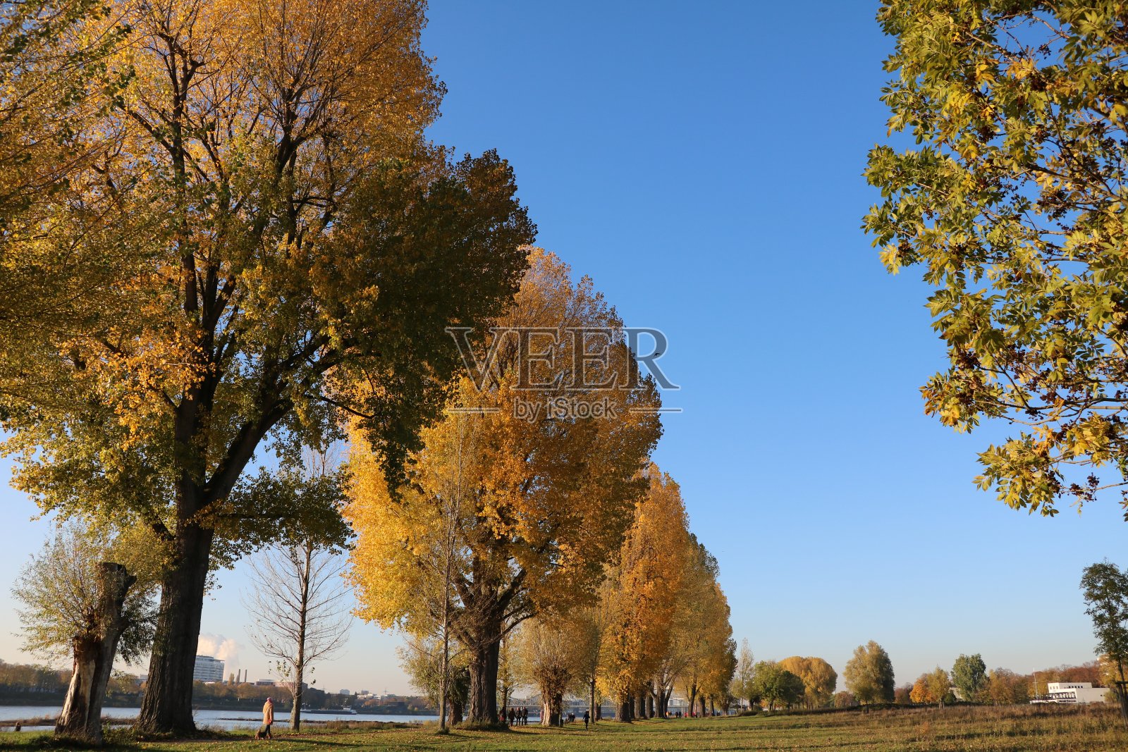 德国科隆美丽的秋日照片摄影图片