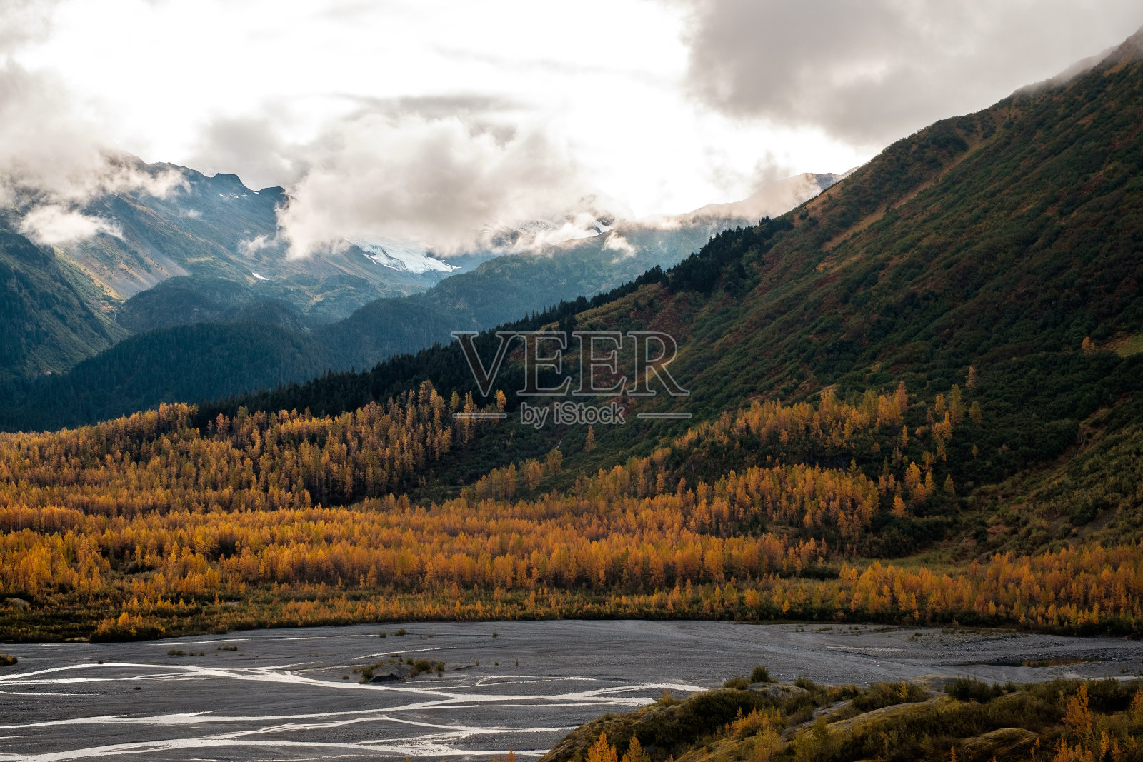 远足到出口冰川，基奈，阿拉斯加，美国。照片摄影图片