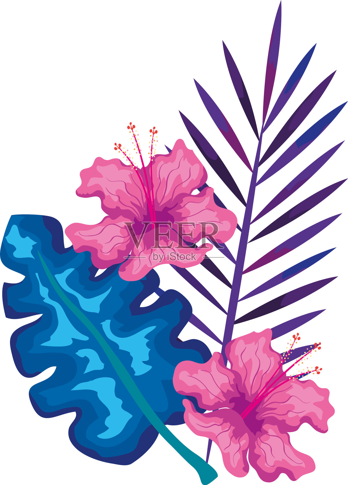 木槿花颜色粉红，有枝干和枝干设计元素图片