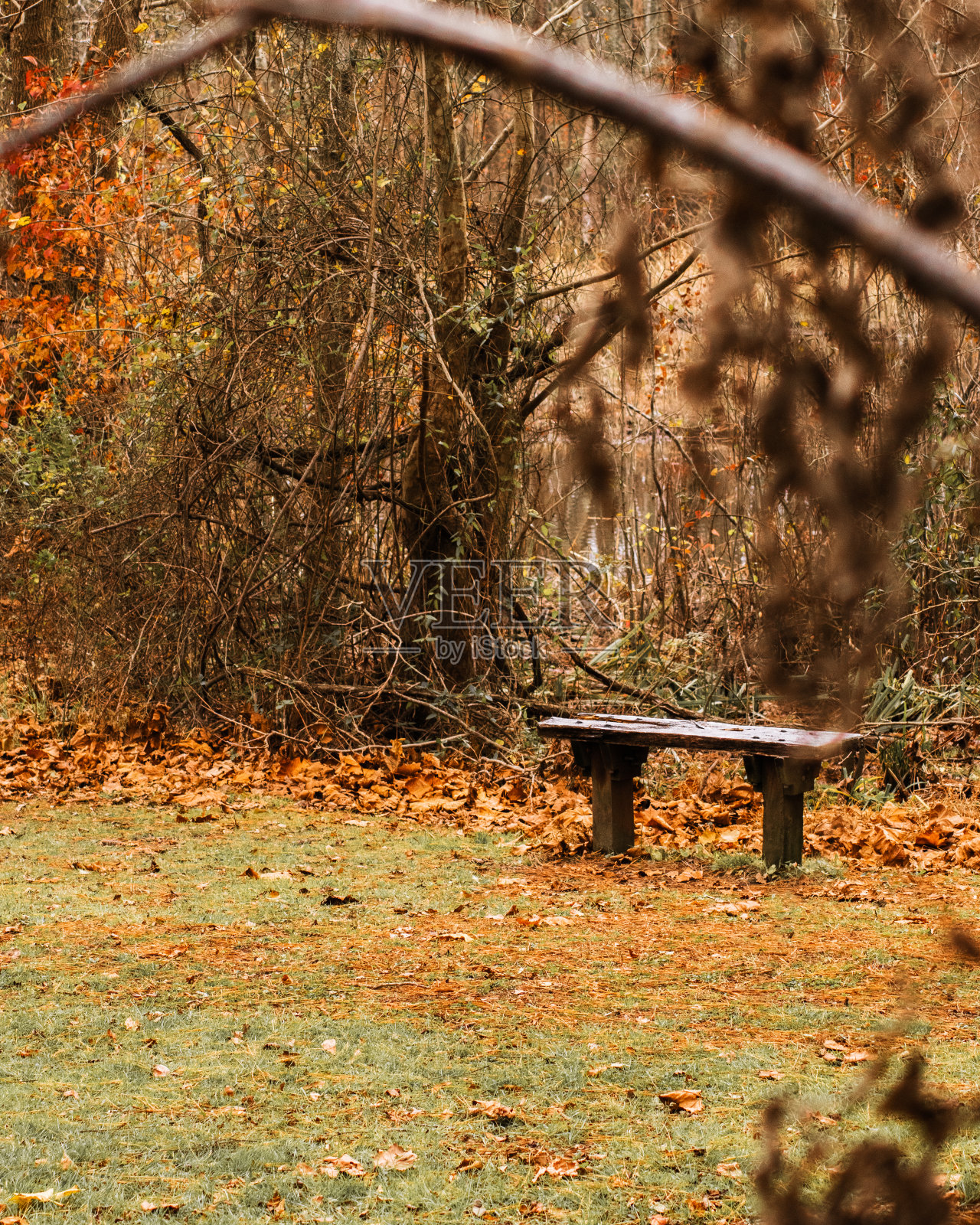 通往自然景观的小径照片摄影图片