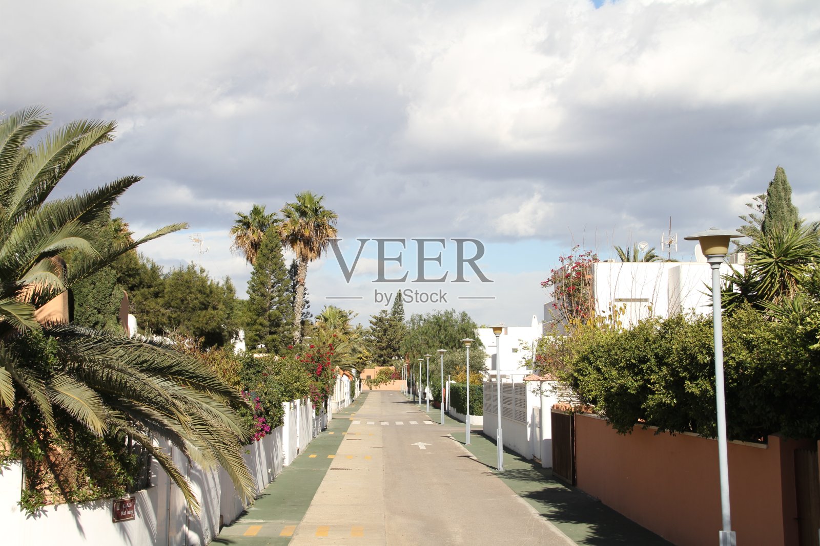 王港照片摄影图片