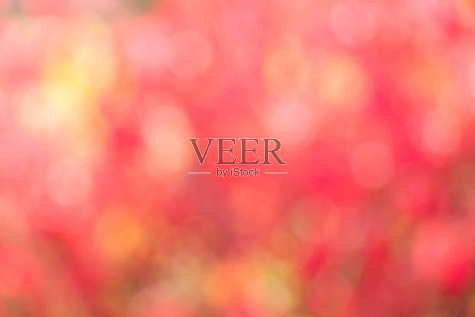 红色或粉红色的散景背景，用于庆典或节日装饰照片摄影图片