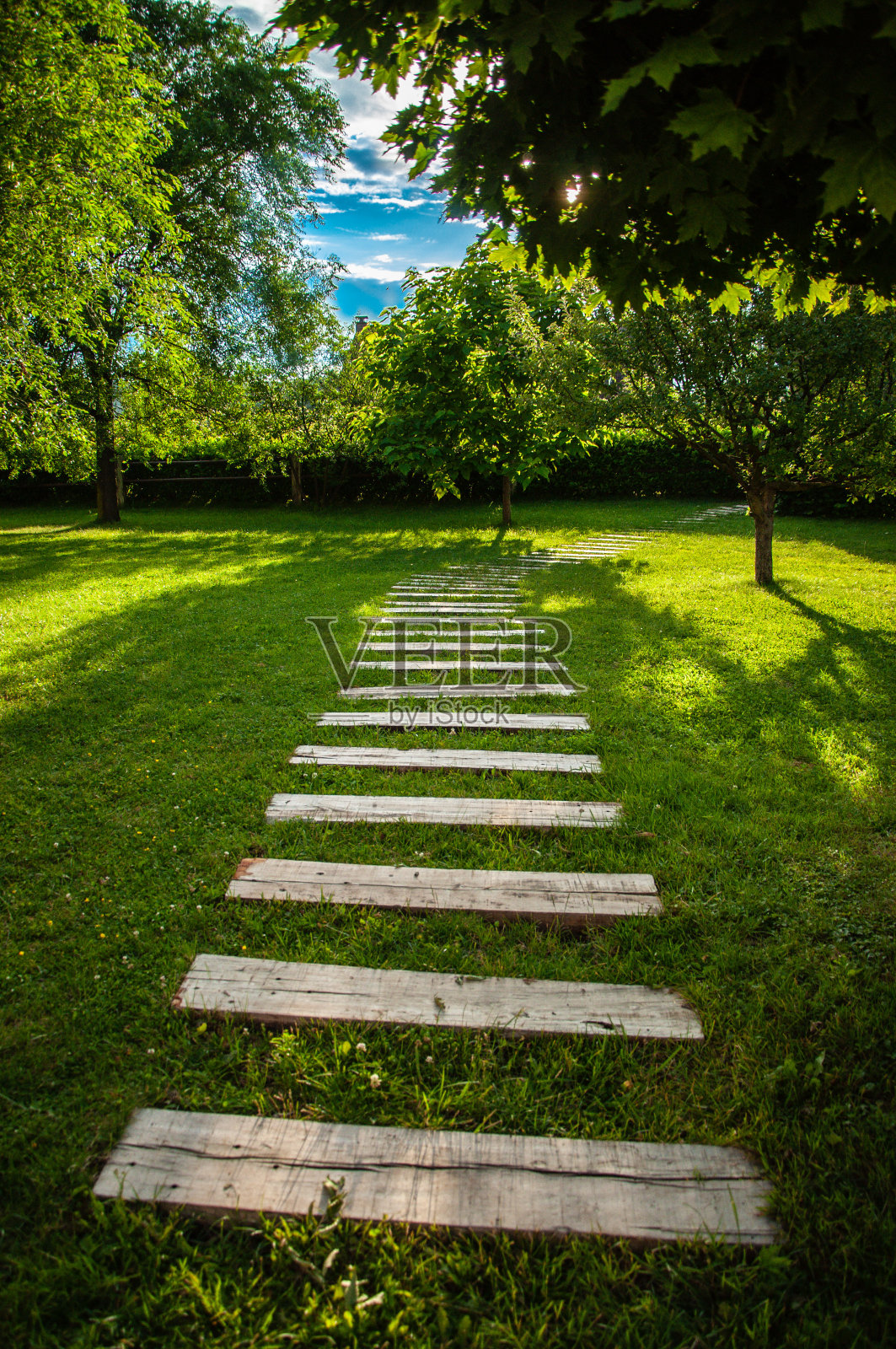 森林中的小径照片摄影图片