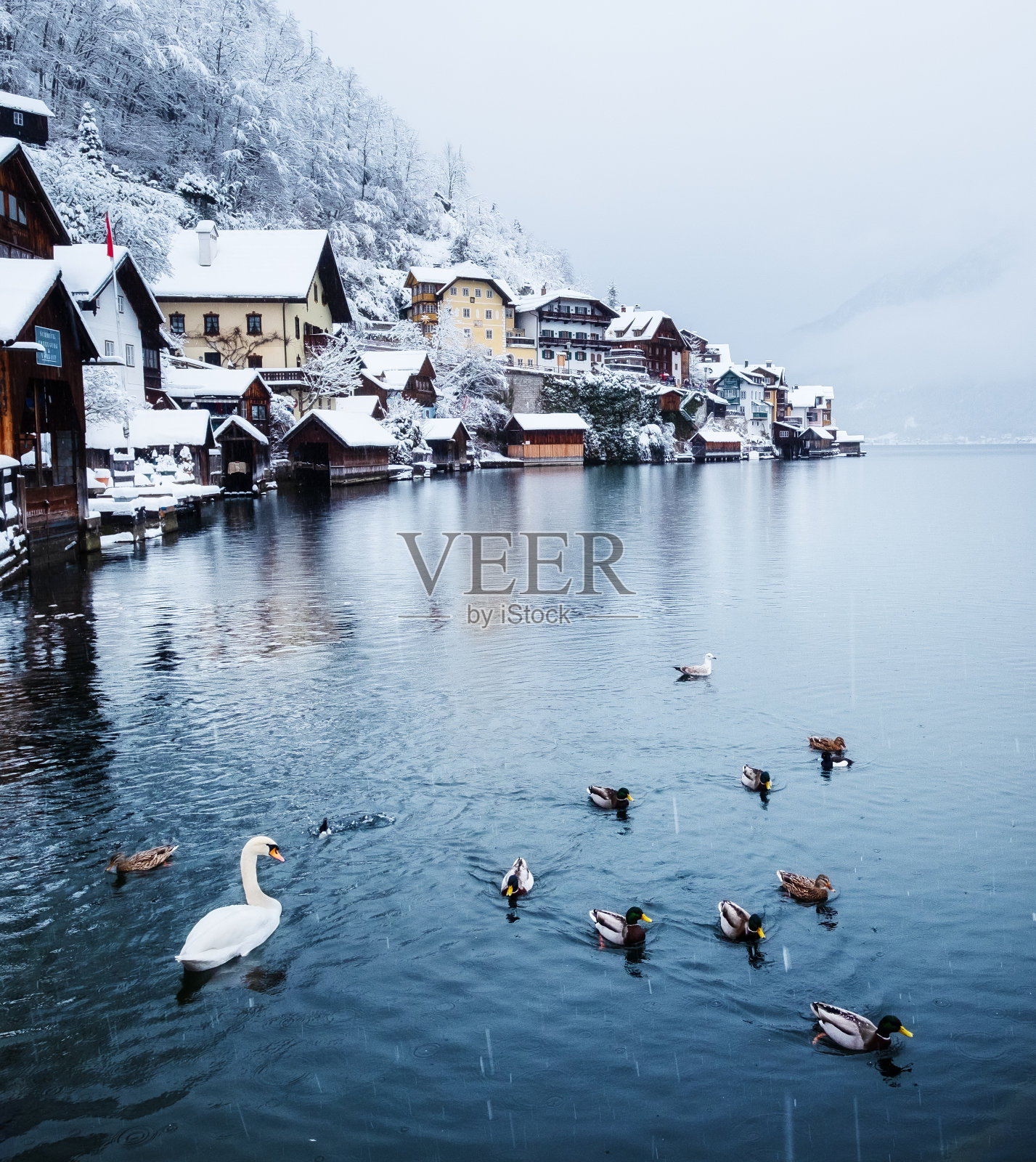 奥地利的哈尔斯塔特村。美丽的村庄在山谷附近的湖泊。山川景观和古城。奥地利旅行照片摄影图片