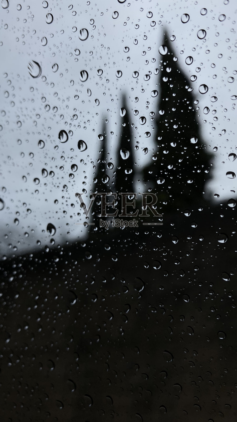 雨滴照片摄影图片