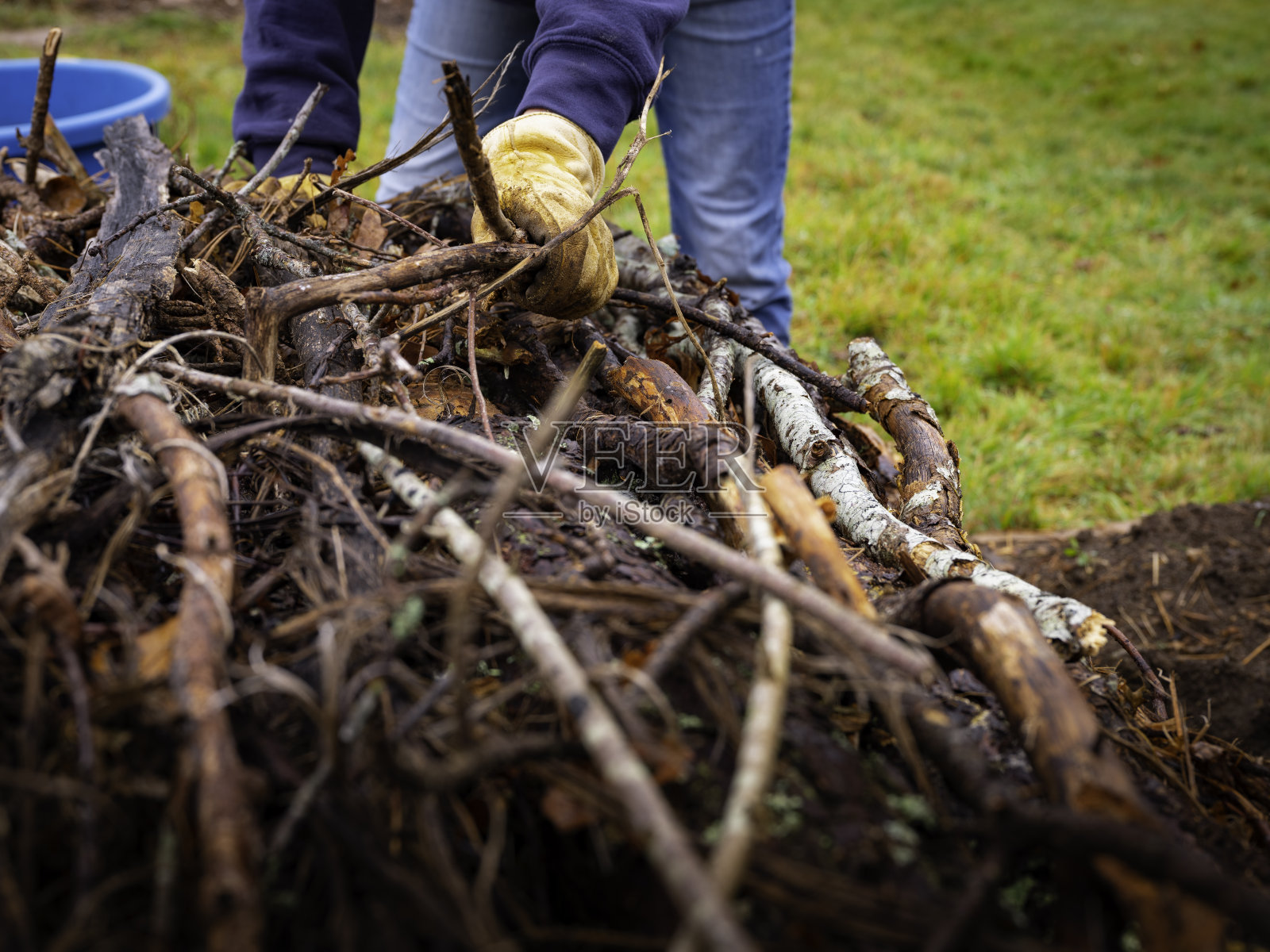 在建造过程中，在Hügelkultur床上添加树枝的人照片摄影图片