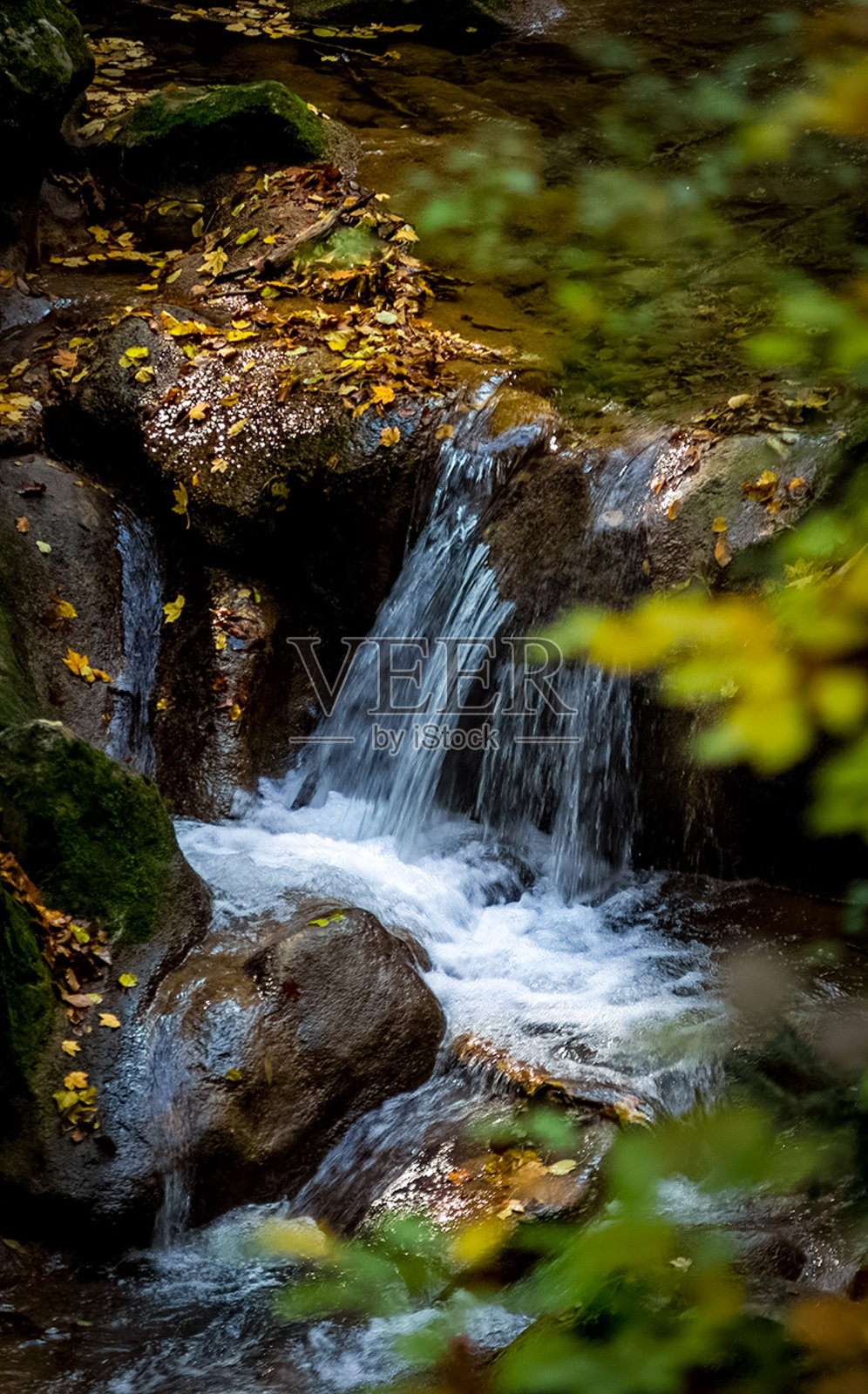 山区森林中的小河，有急流和瀑布。森林的小溪。照片摄影图片