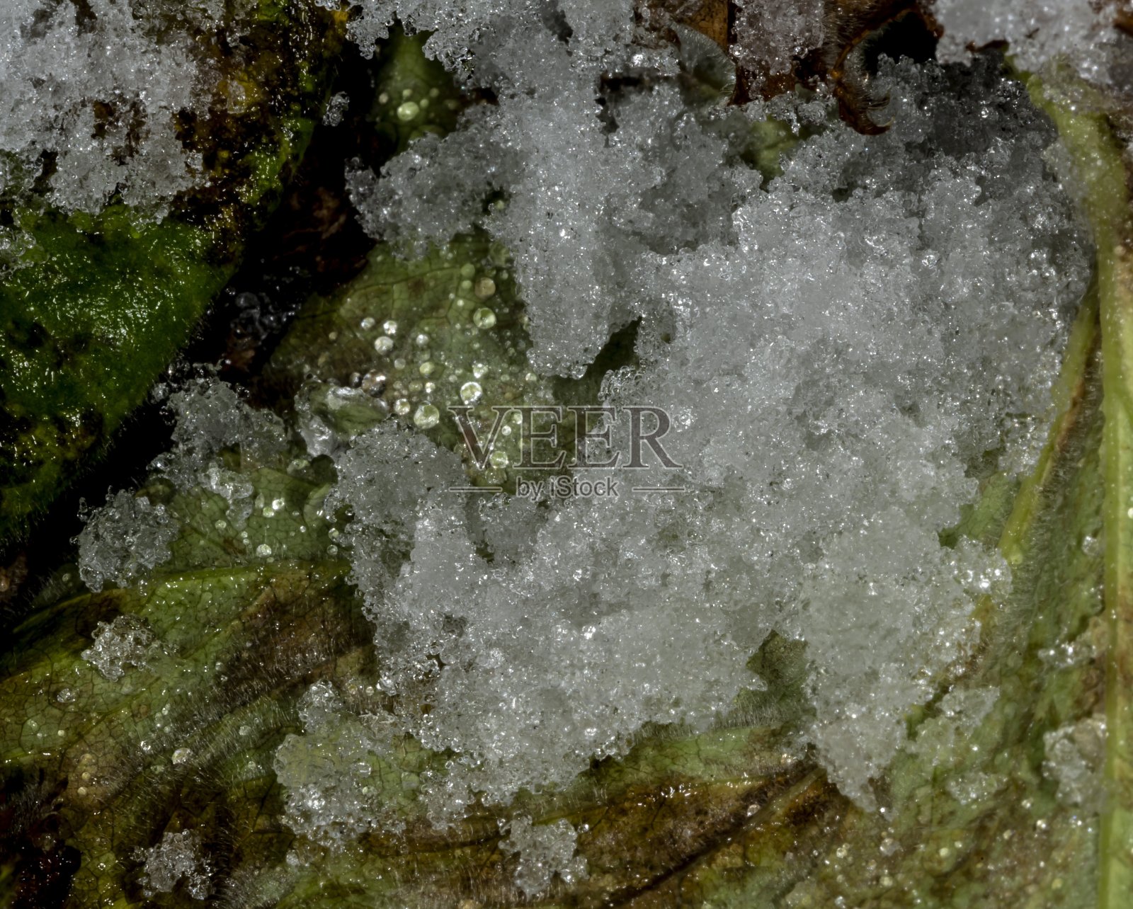 雪，雨和冰晶。照片摄影图片