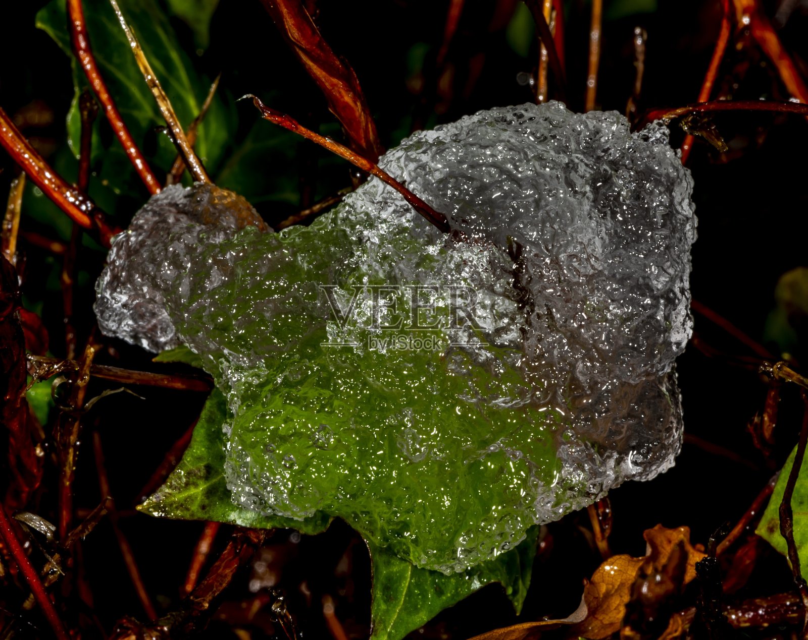 雪，雨和冰晶。照片摄影图片