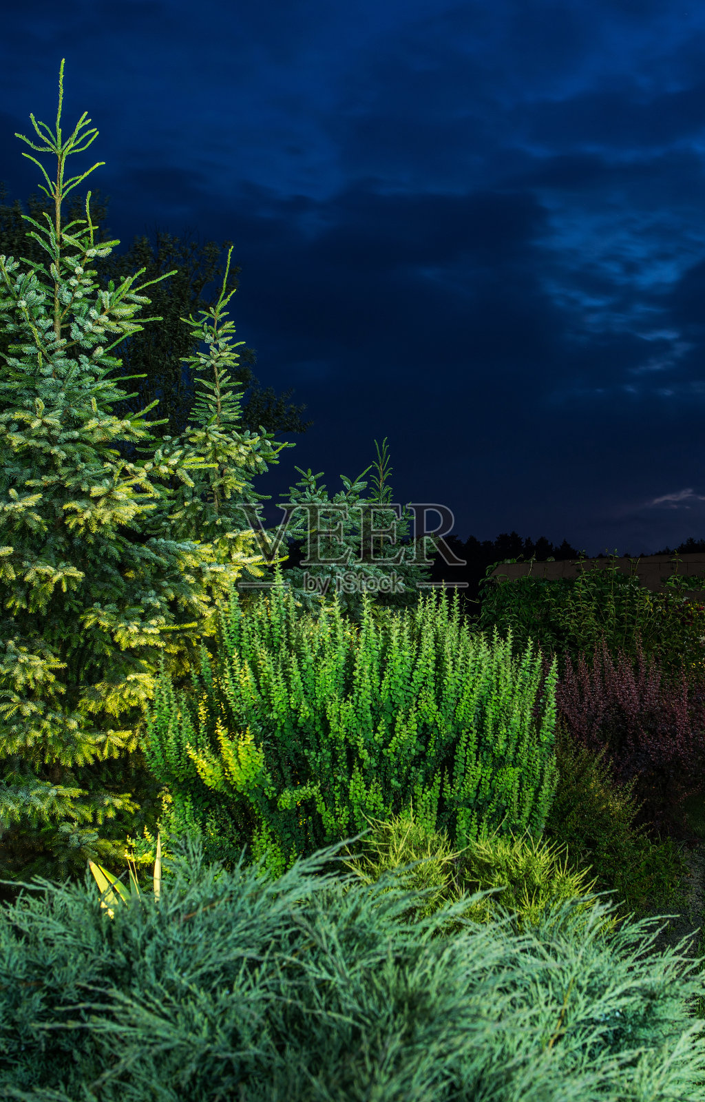 成熟的后院花园人工照明照片摄影图片